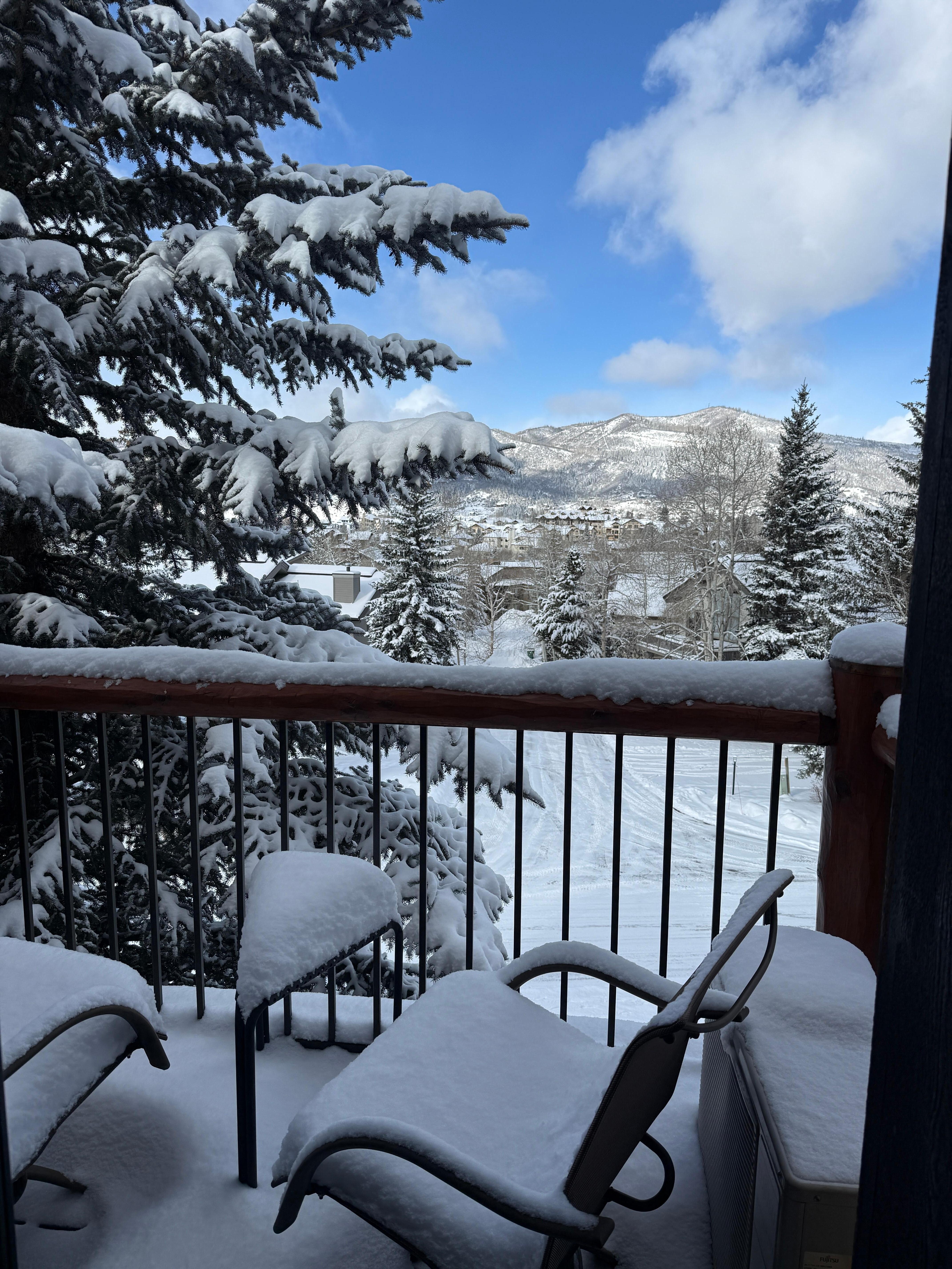 My morning view from the bed in the master bedroom through the French doors while having coffee 