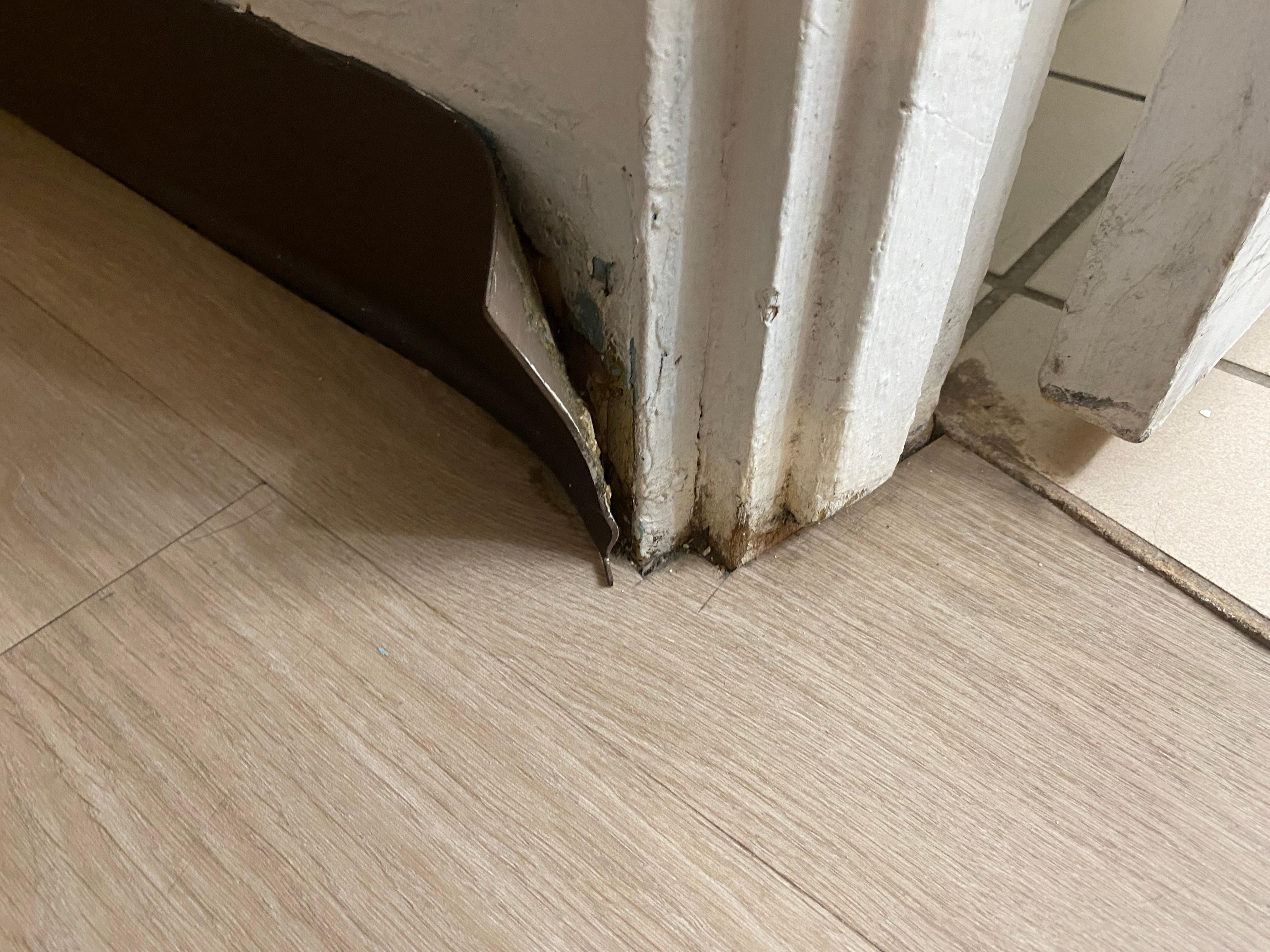 Molding an door jam in restroom