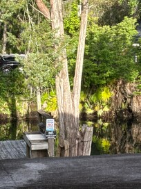 Dock in the backyard