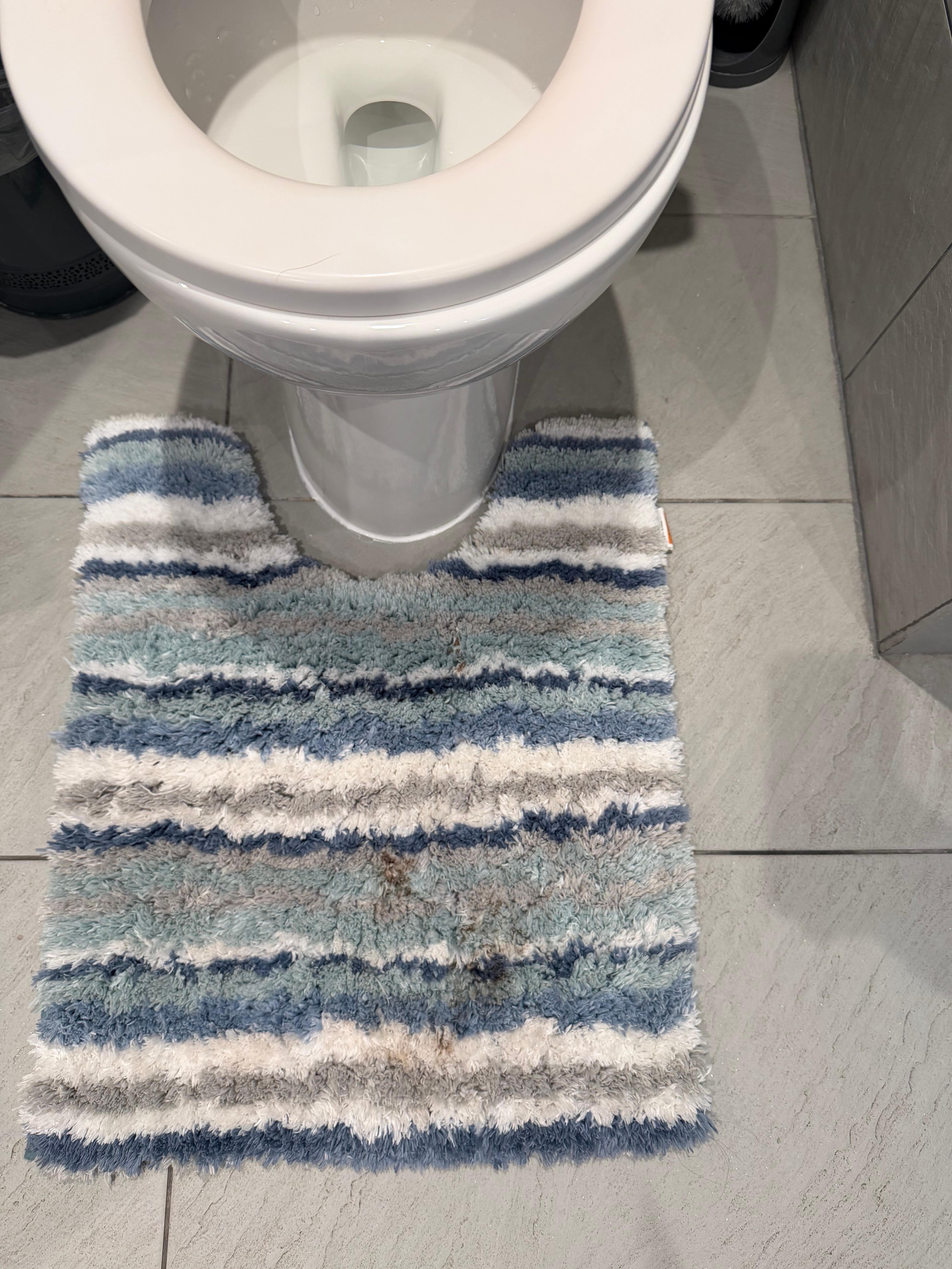 Poop on the rugs