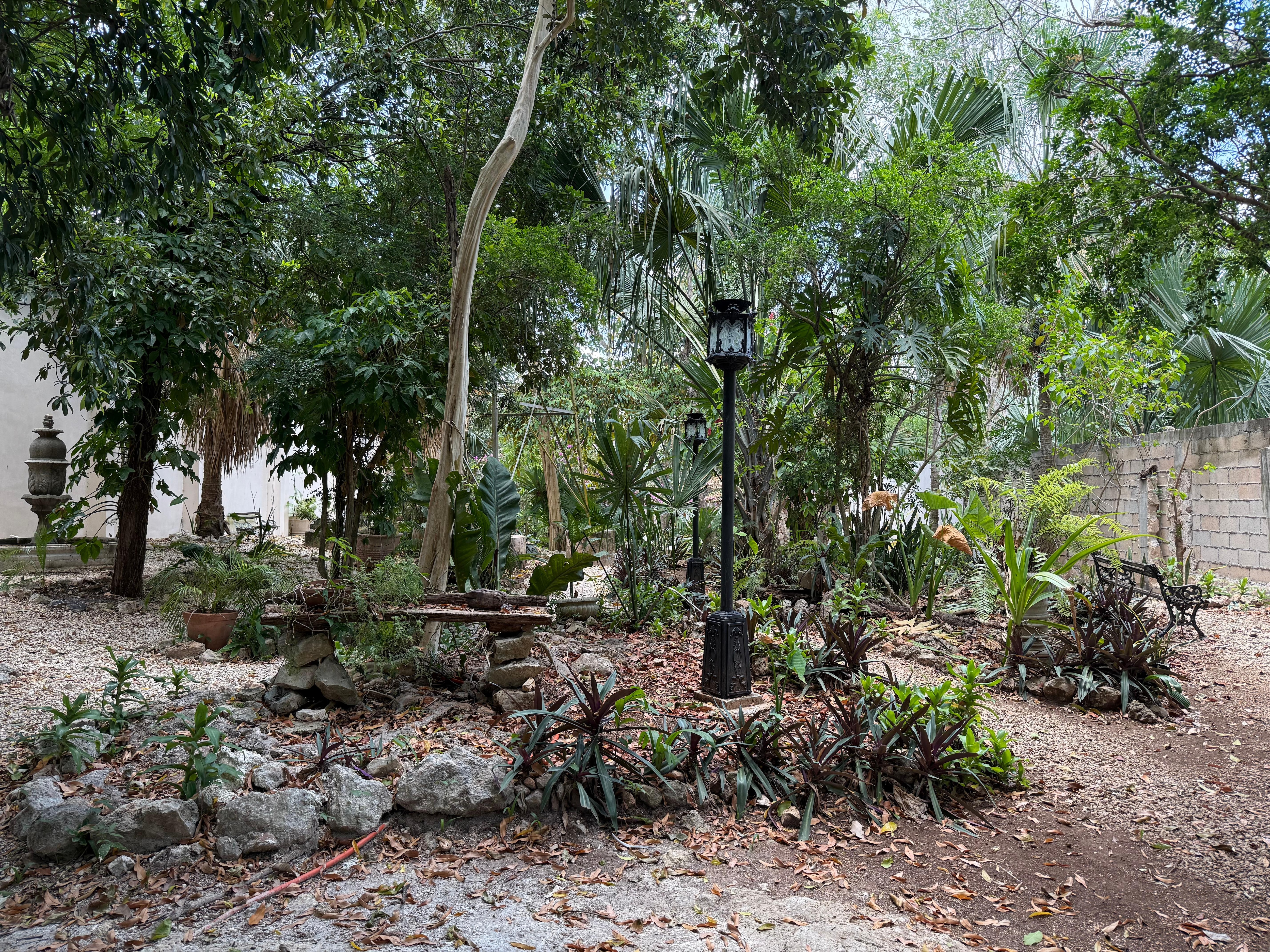 Relaxing garden with lots of shade.