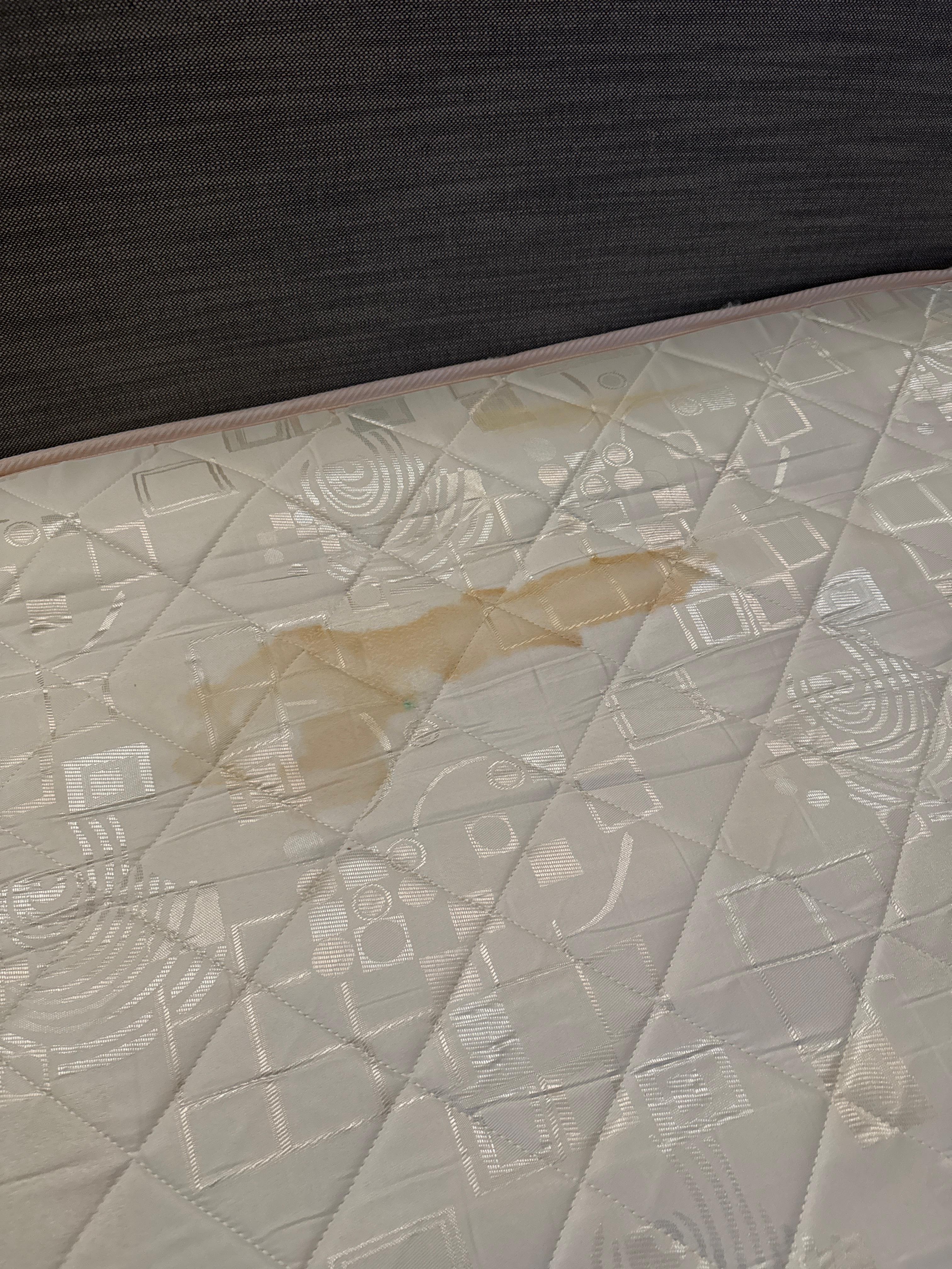 This is what the pull out looked like … disgusting 