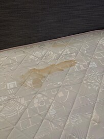 This is what the pull out looked like … disgusting
