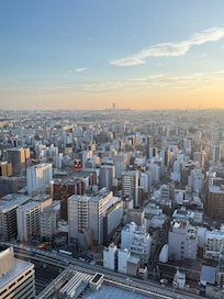 View from 31st floor