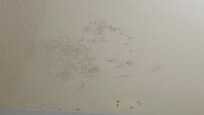 Mold in bathroom