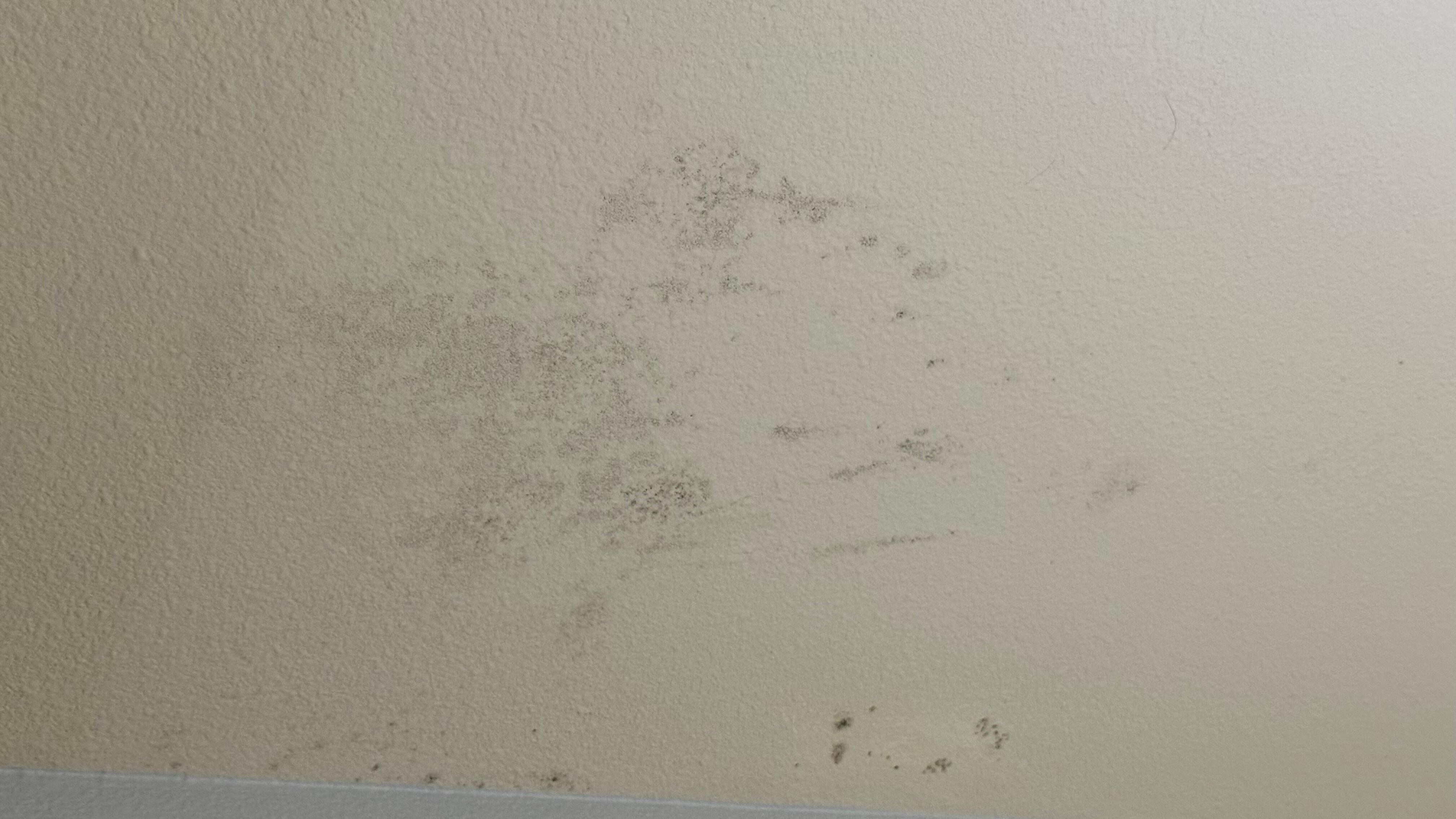 Mold in bathroom 