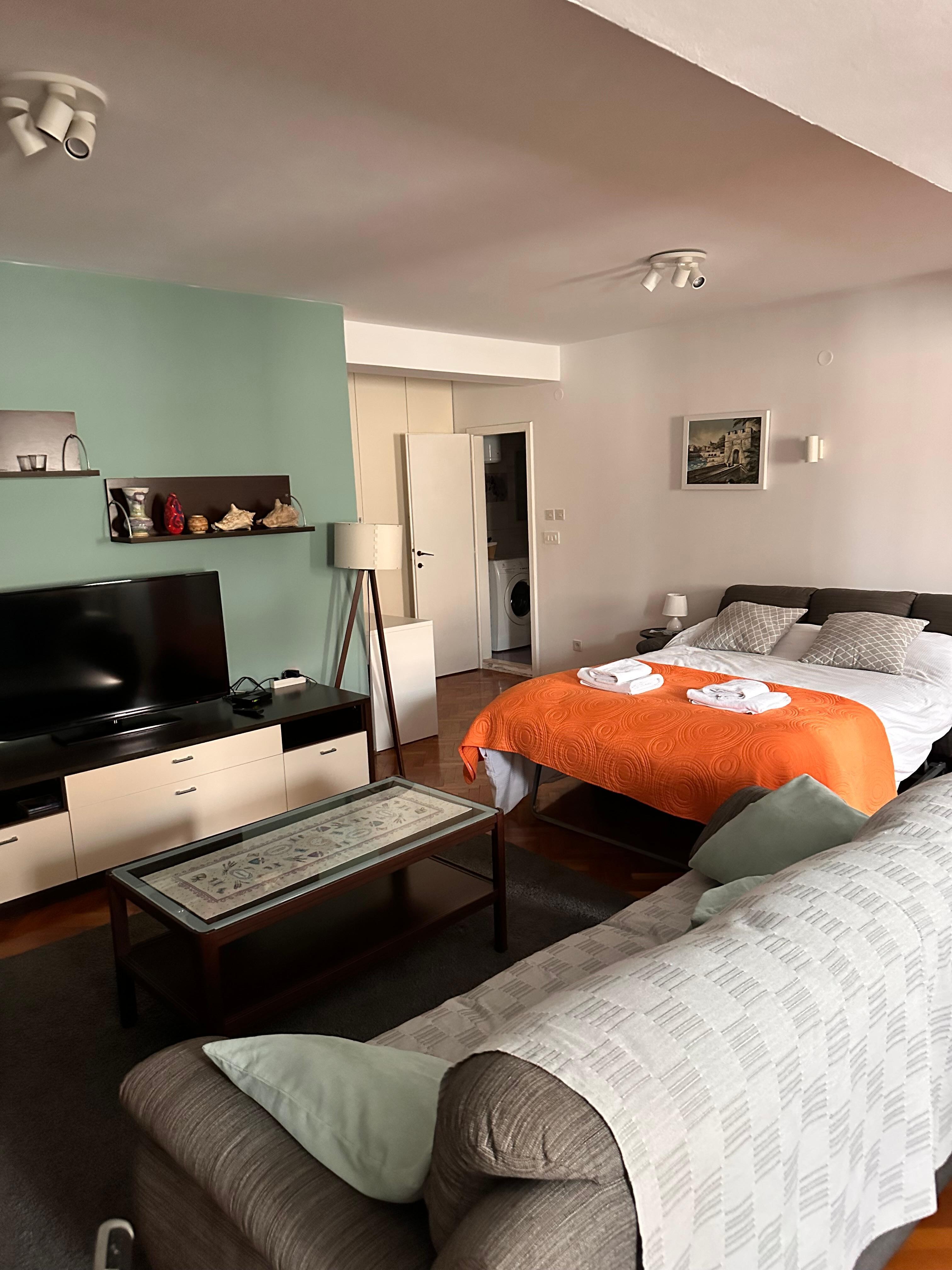 Living room with the sofa bed