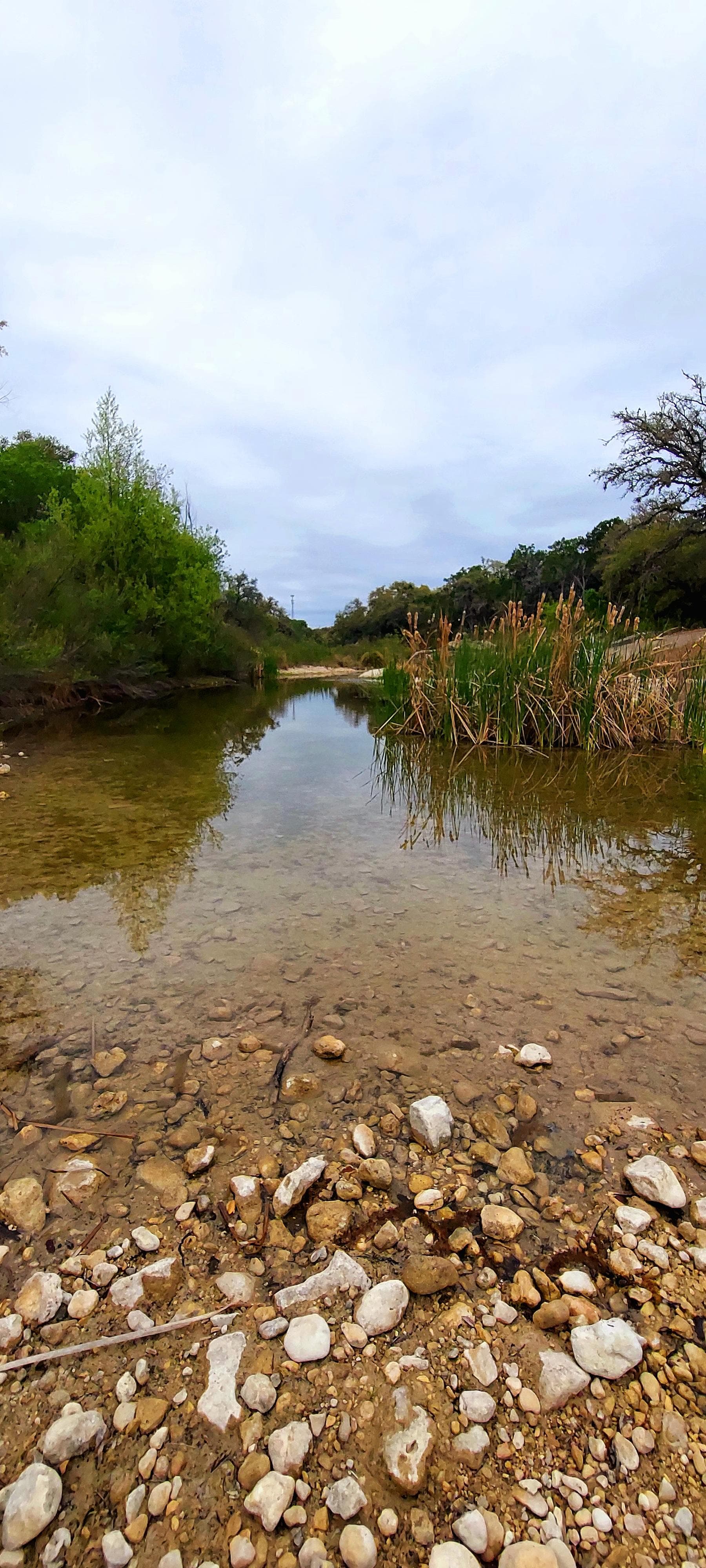Walked down to the bottom of the property 