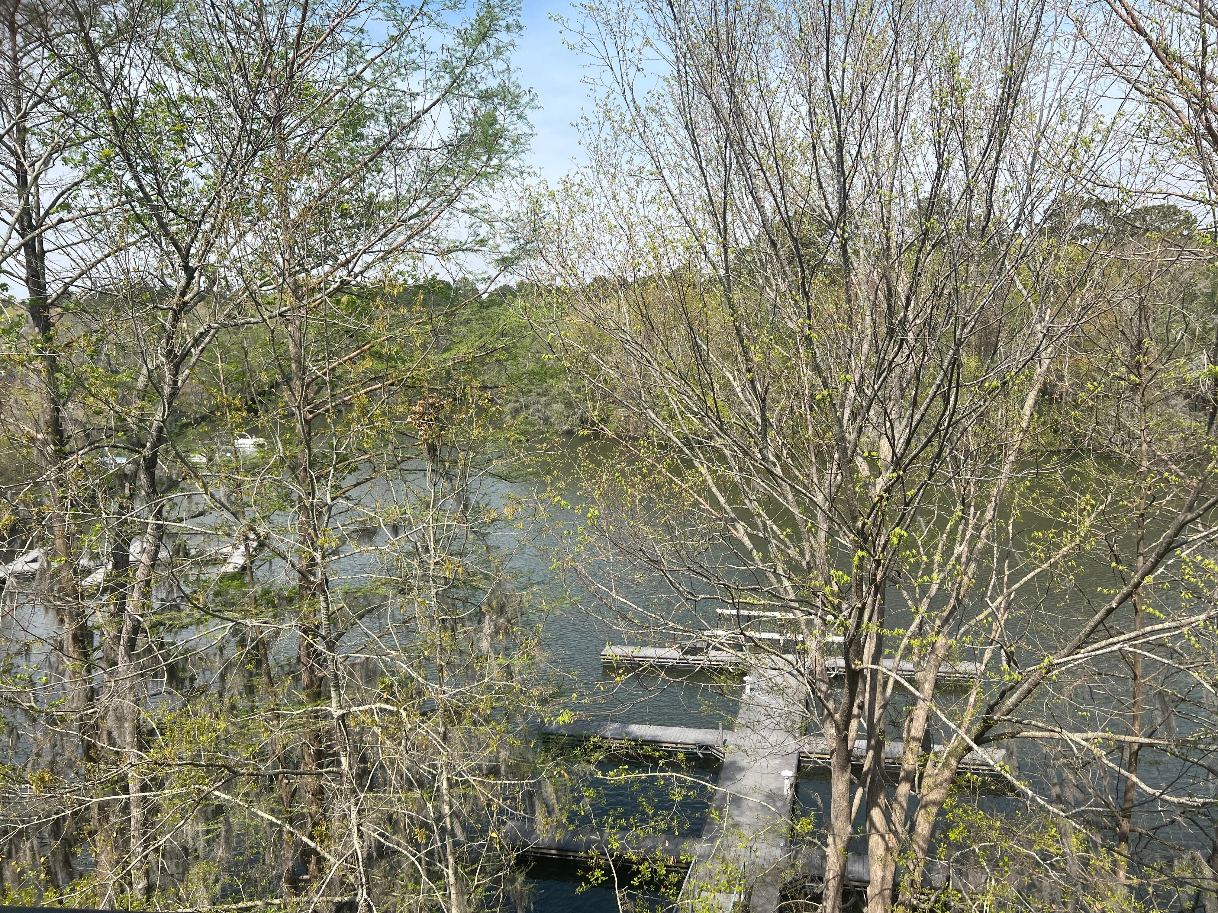 View of the dock from patio.