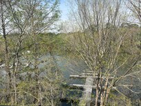View of the dock from patio.