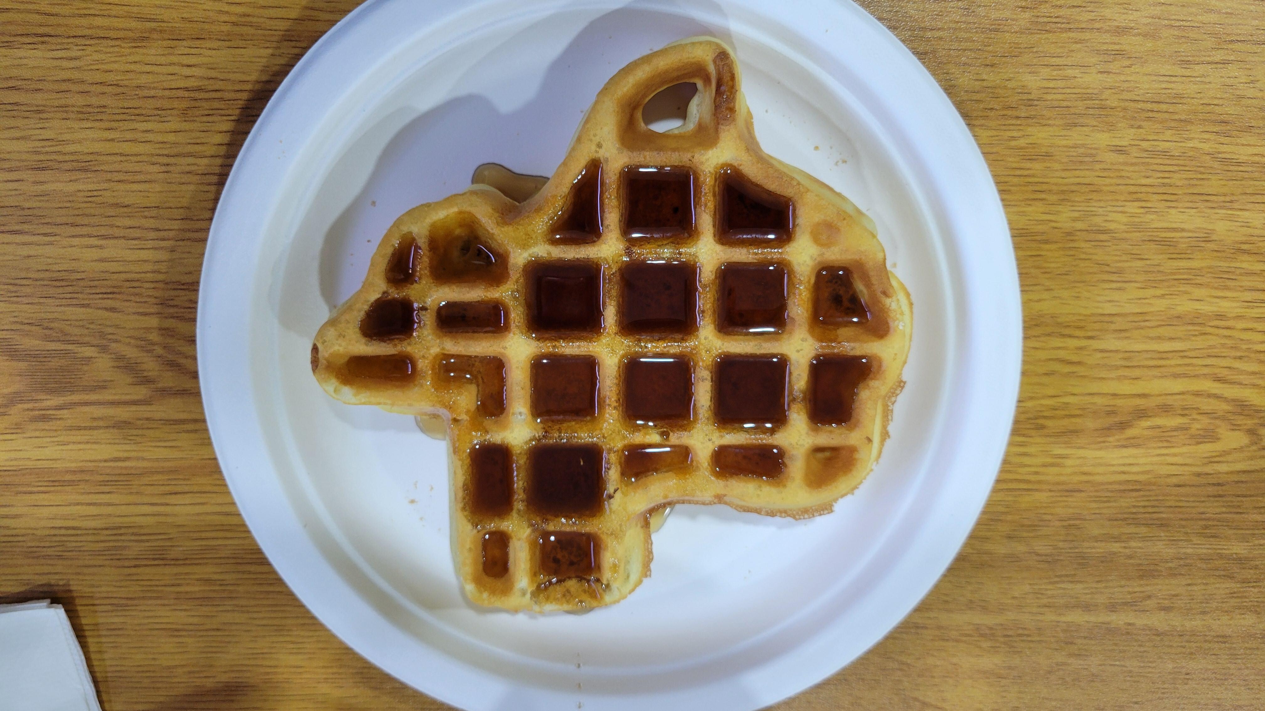 Texas Waffle!