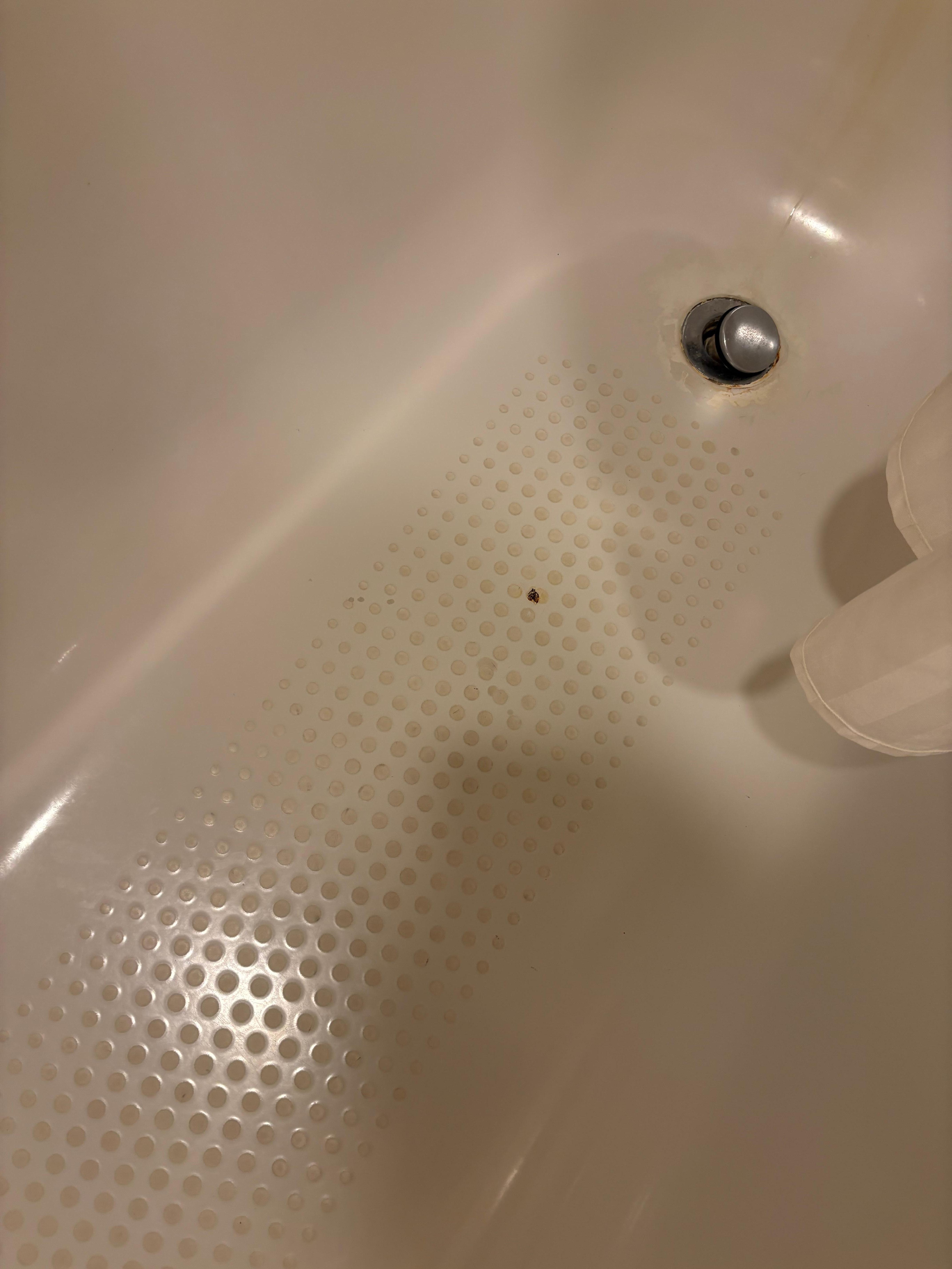 The bathtub. EYYYYUCKKKKKK