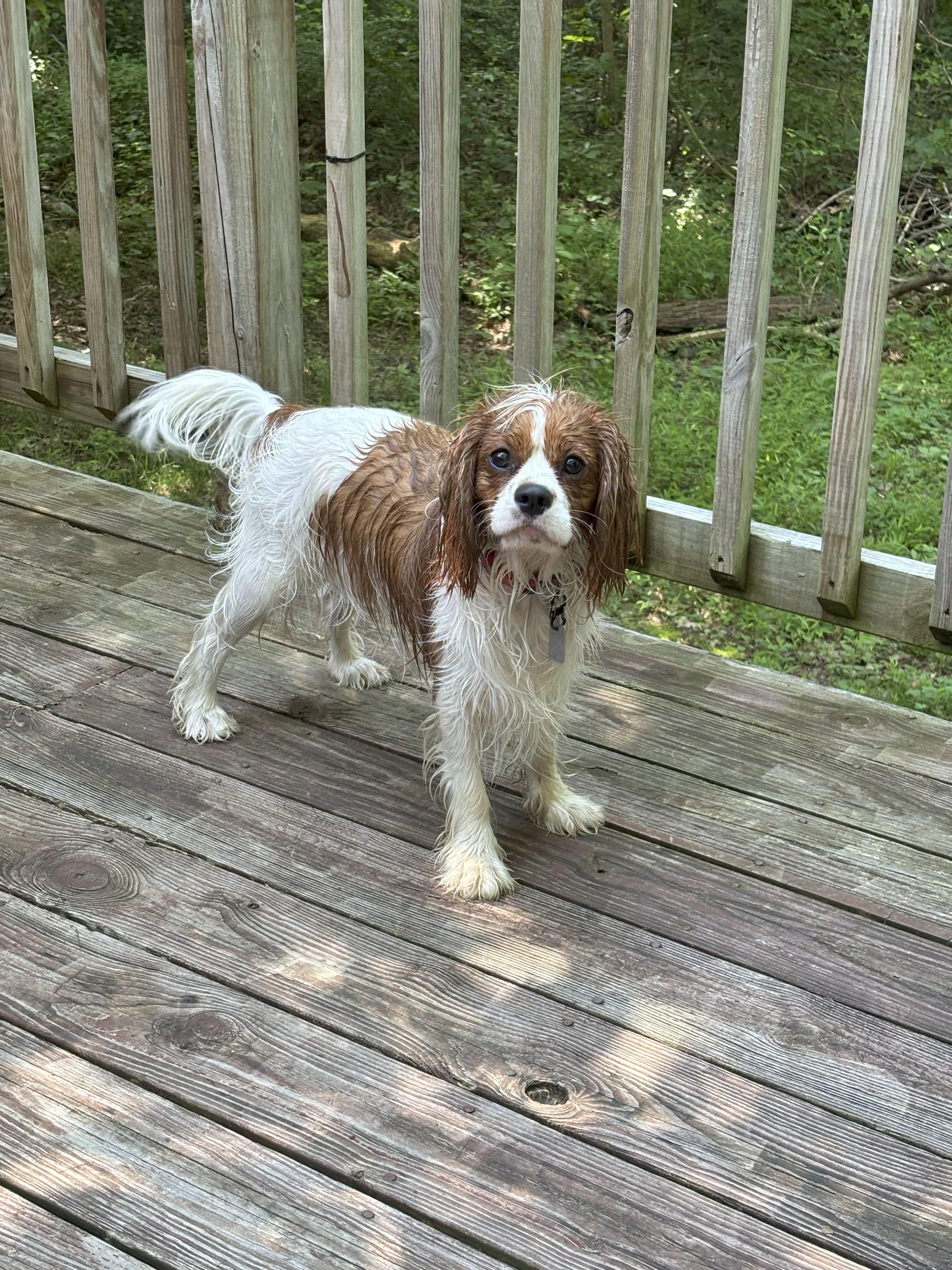 Tucker loved the creek