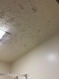 Mold on ceiling
