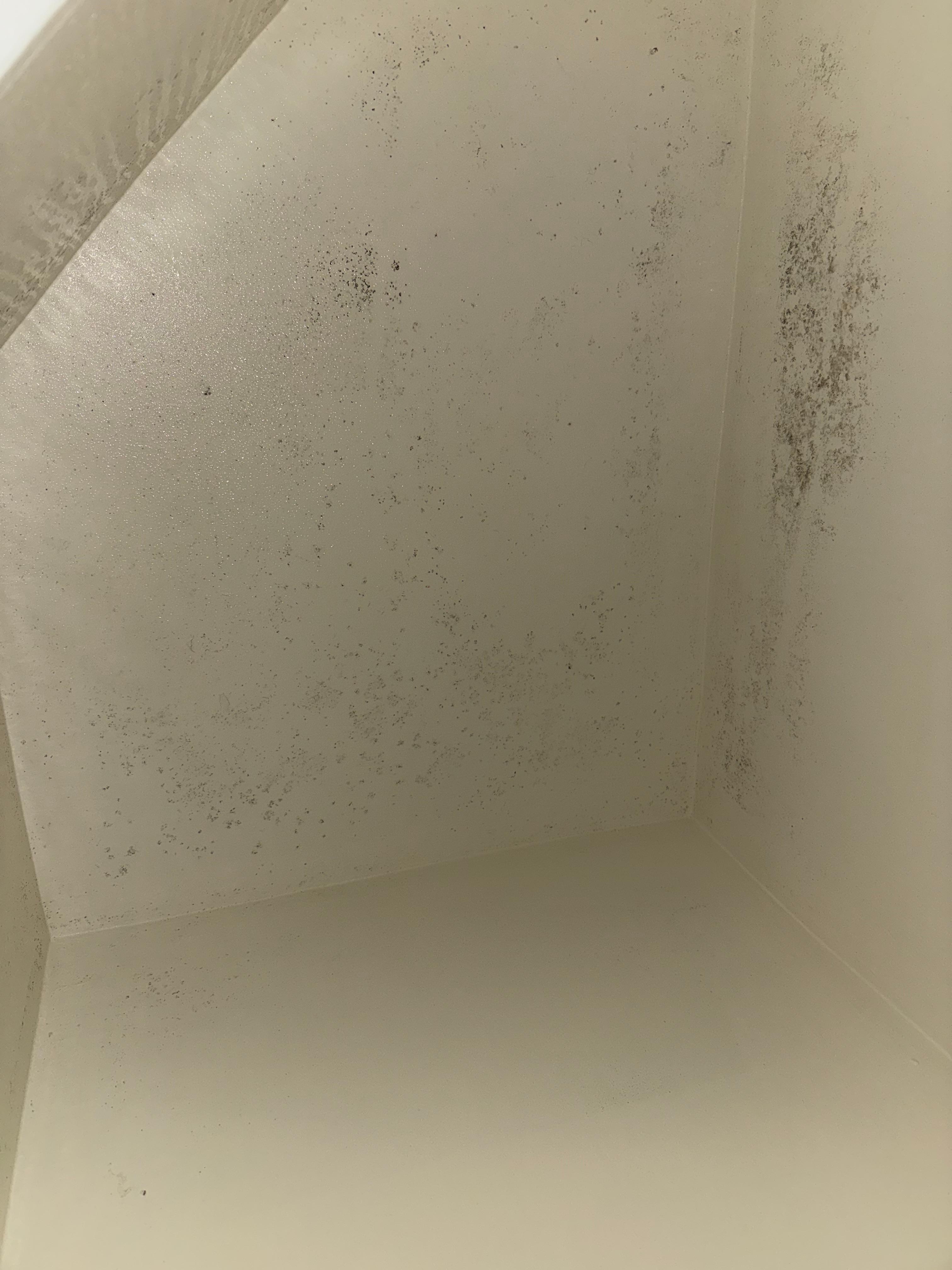 Black mold