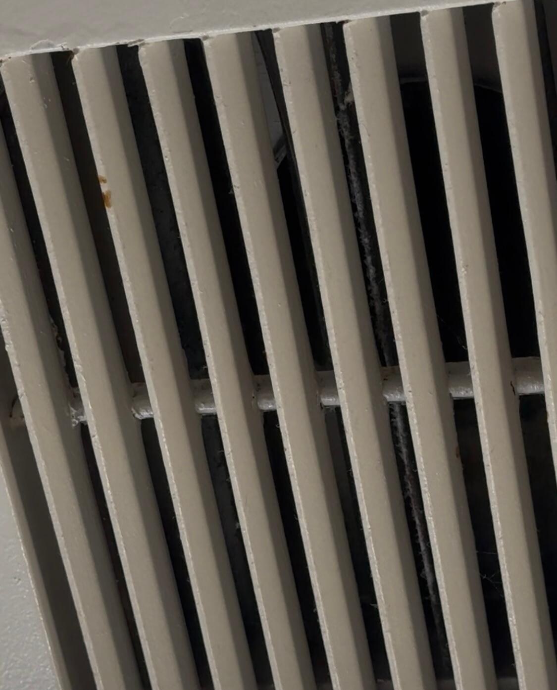 Ceiling vent dirty and molding and doesn’t have a working exhaust fan 