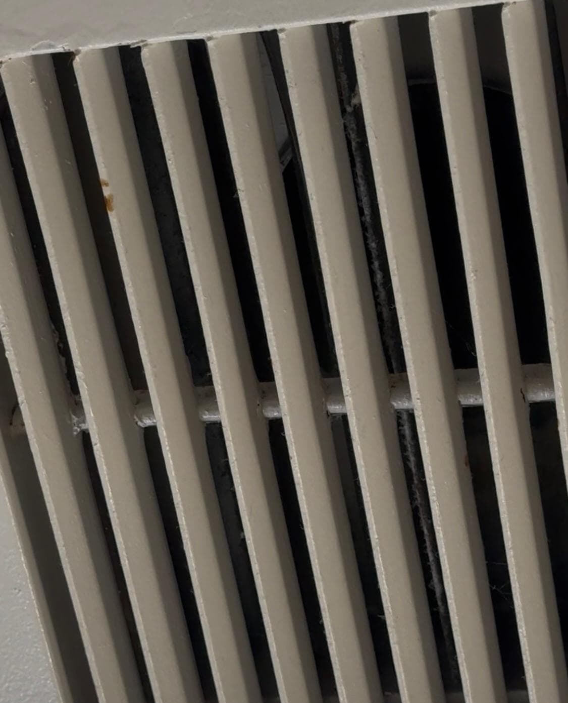 Ceiling vent dirty and molding and doesn’t have a working exhaust fan