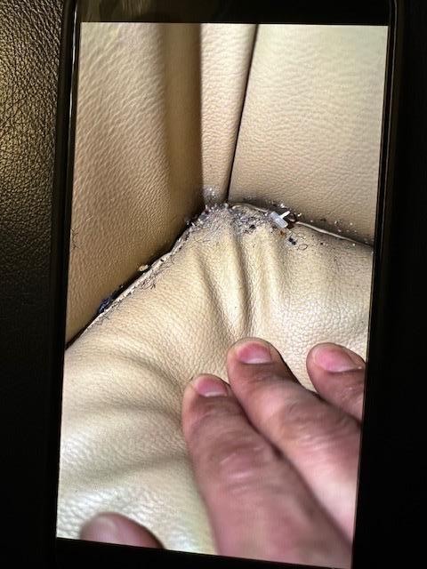 Couches never cleaned 