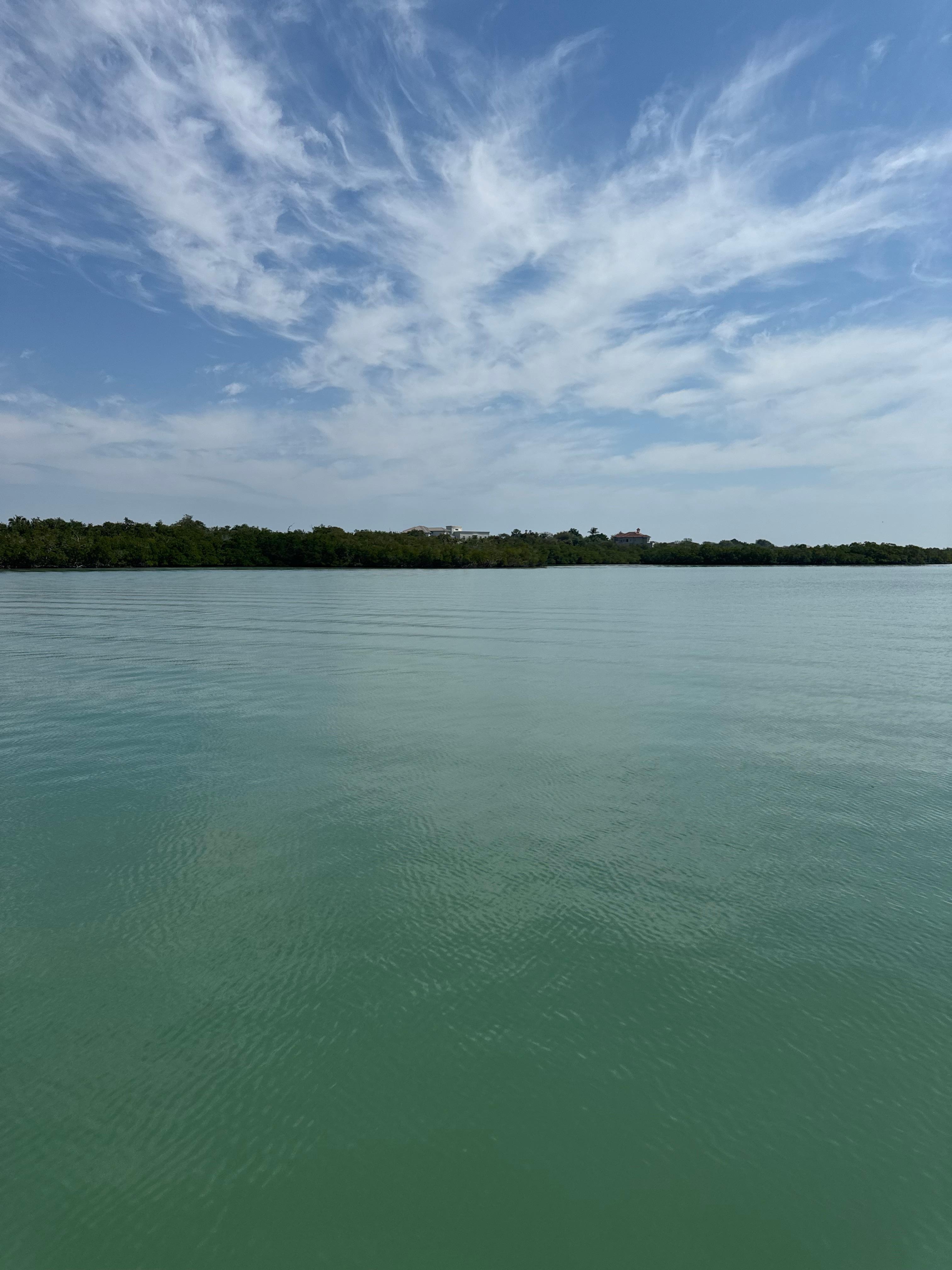 Shelling and dolphin watch excursion highly recommend 