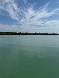 Shelling and dolphin watch excursion highly recommend