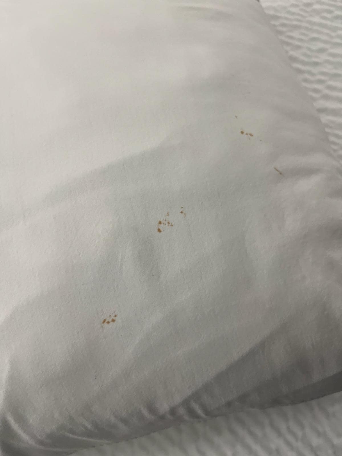 Blood specs on pillows 