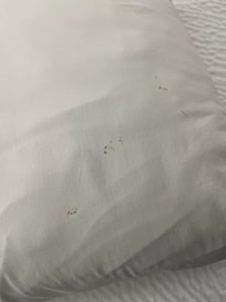 Blood specs on pillows