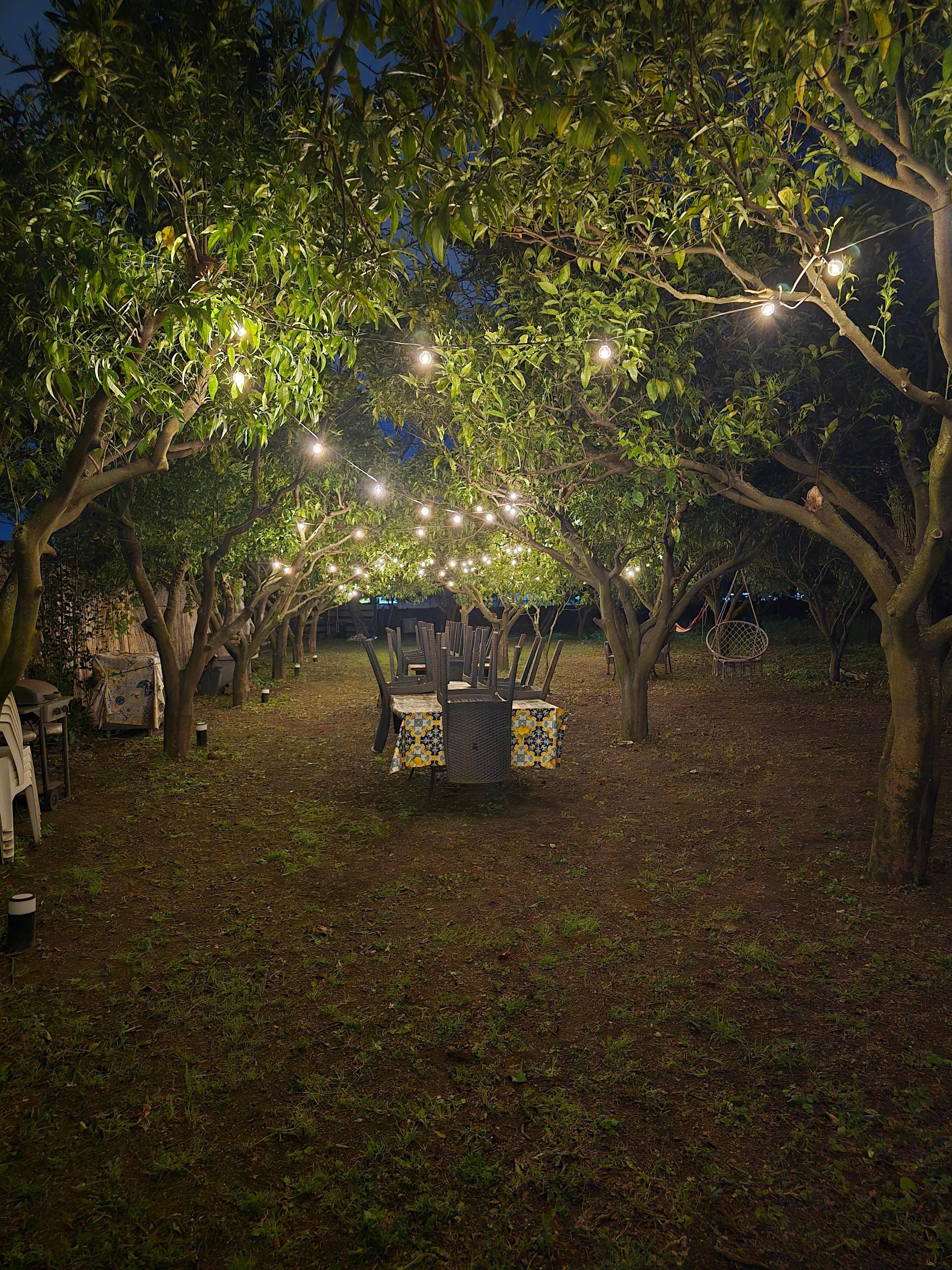 The garden is breathtaking at night. I'm just sad it was too cold for us to enjoy. 