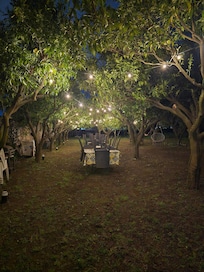 The garden is breathtaking at night. I'm just sad it was too cold for us to enjoy.