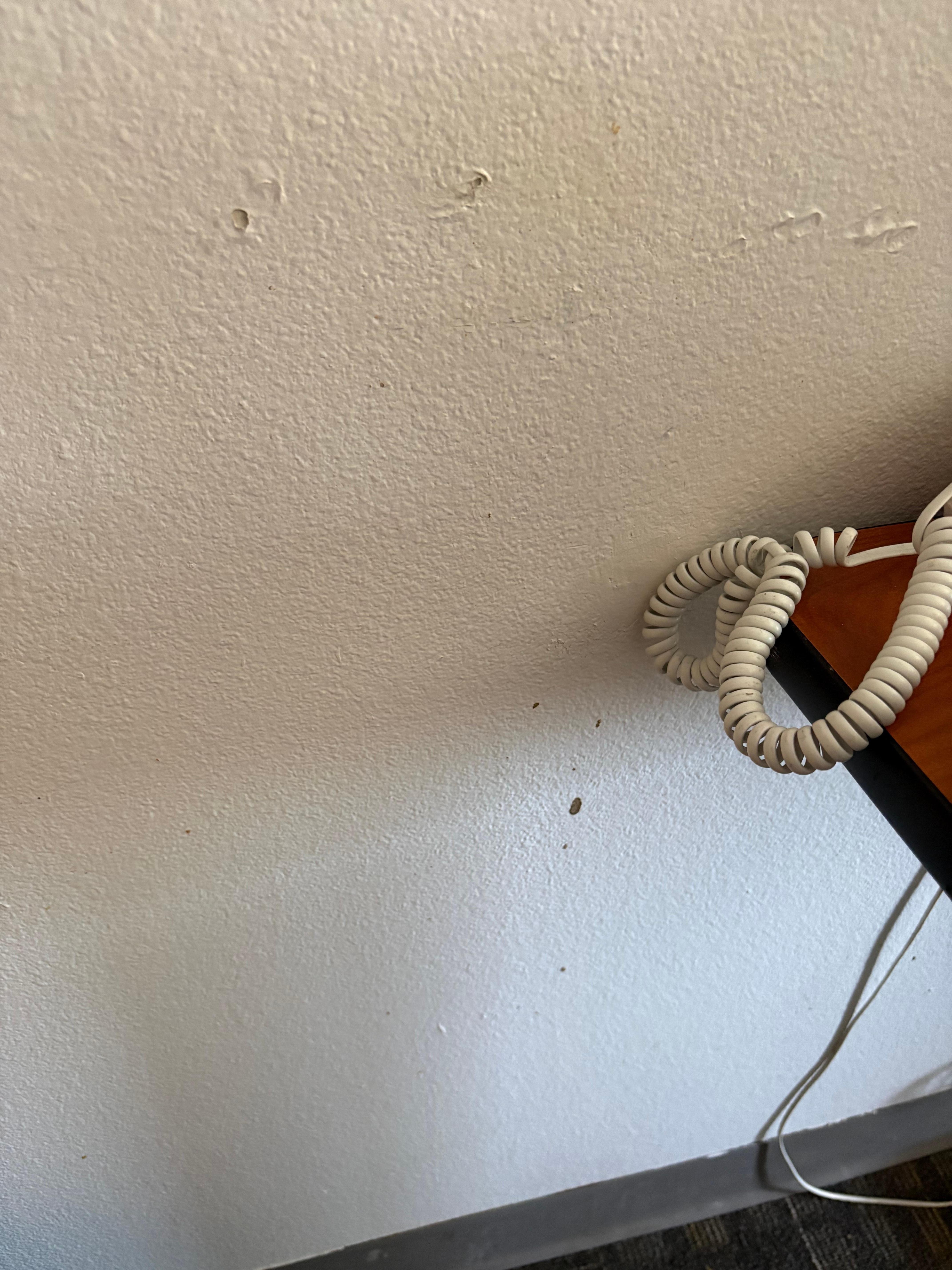 These pics are only 2 of the many I took. It gets worse in the bathroom. 