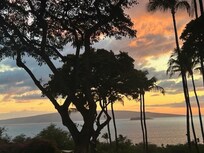 This is MAUI,
the beauty surrounds you.