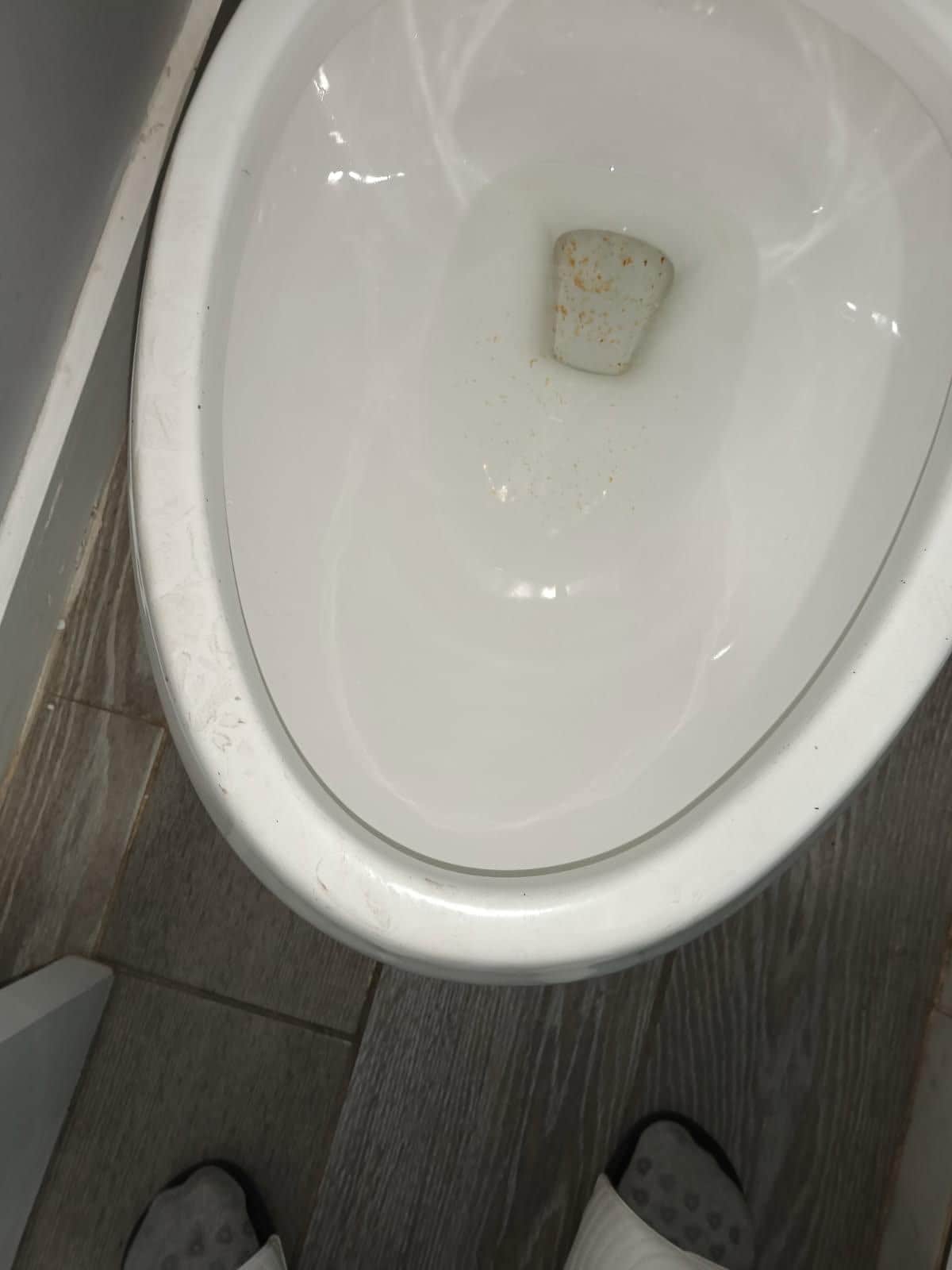 Dog prints and mess on the toilet