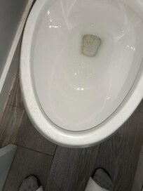 Dog prints and mess on the toilet