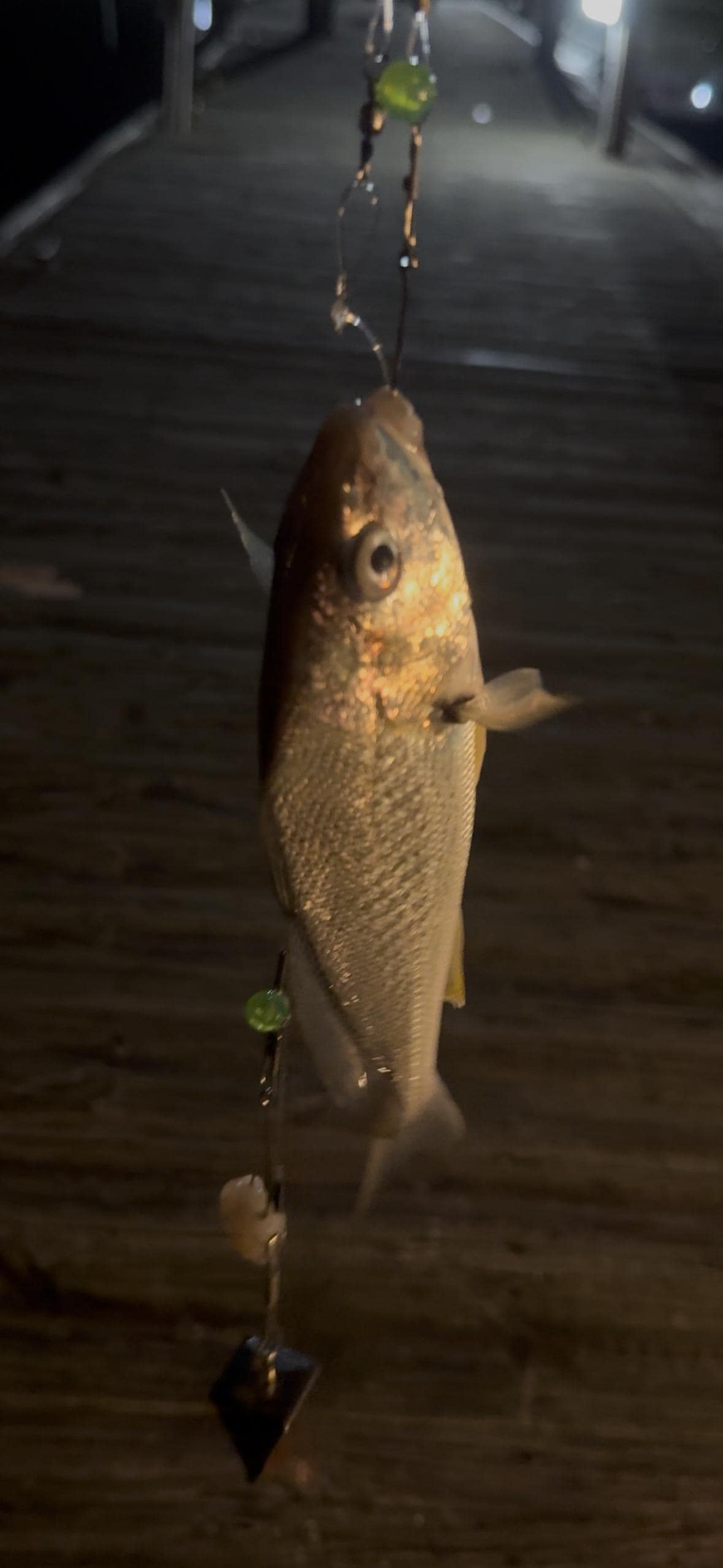 Boat docks /fishing docks on the sound side lit up at night.