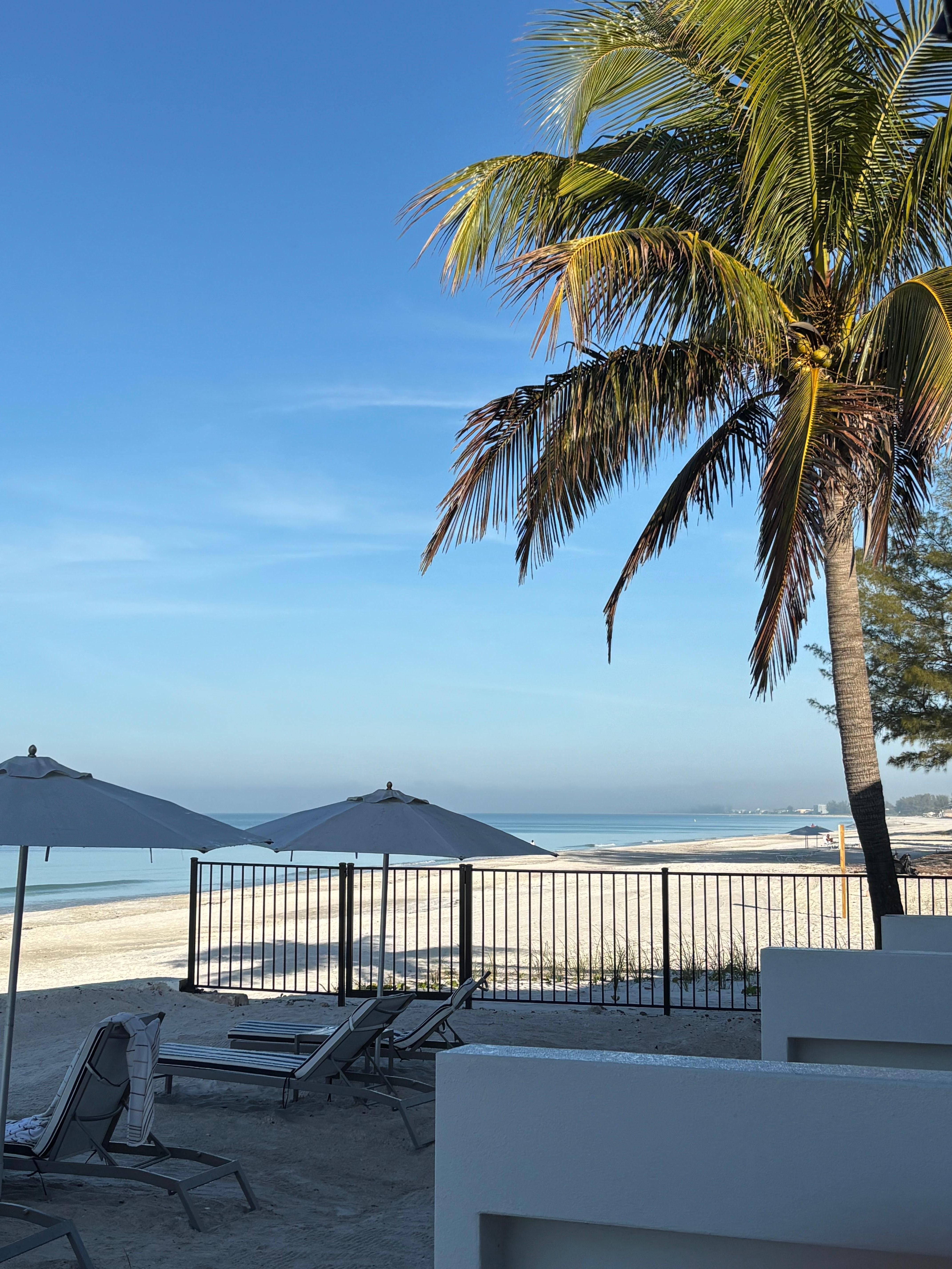 From our patio, room 204