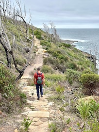 Pebbly Beach to Pretty Beach coast walk
