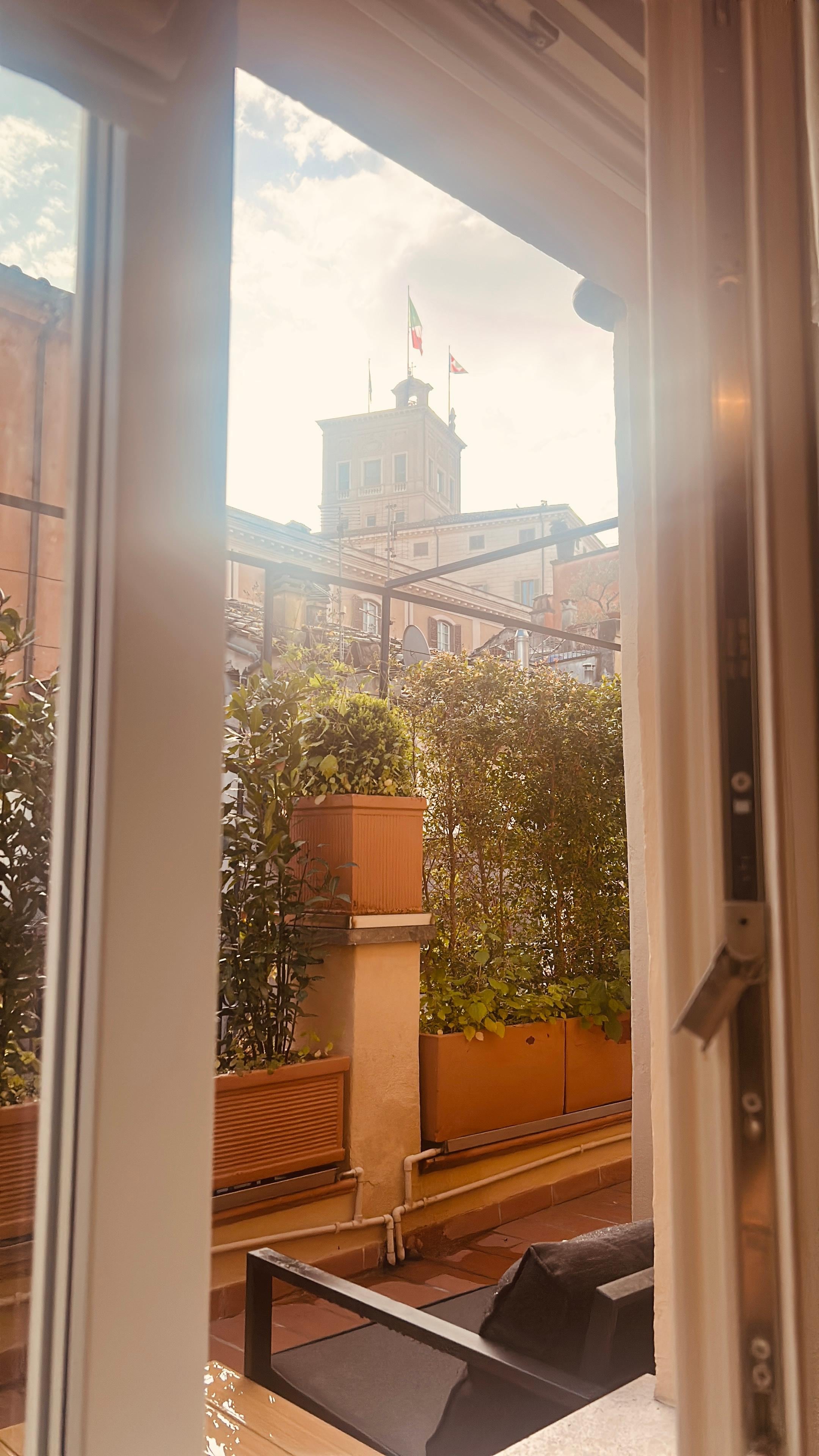 View from the kitchen window 