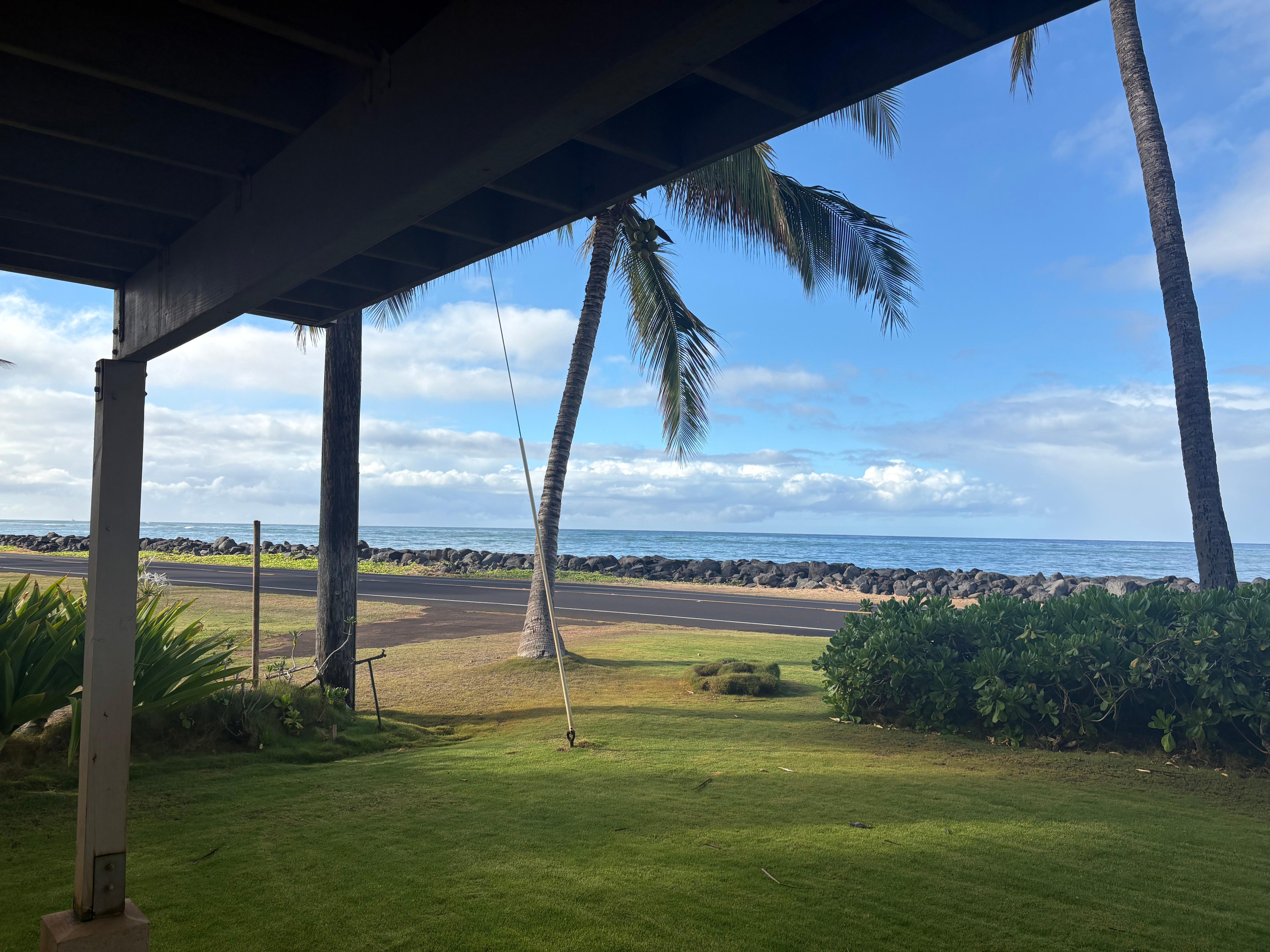 From the lanai