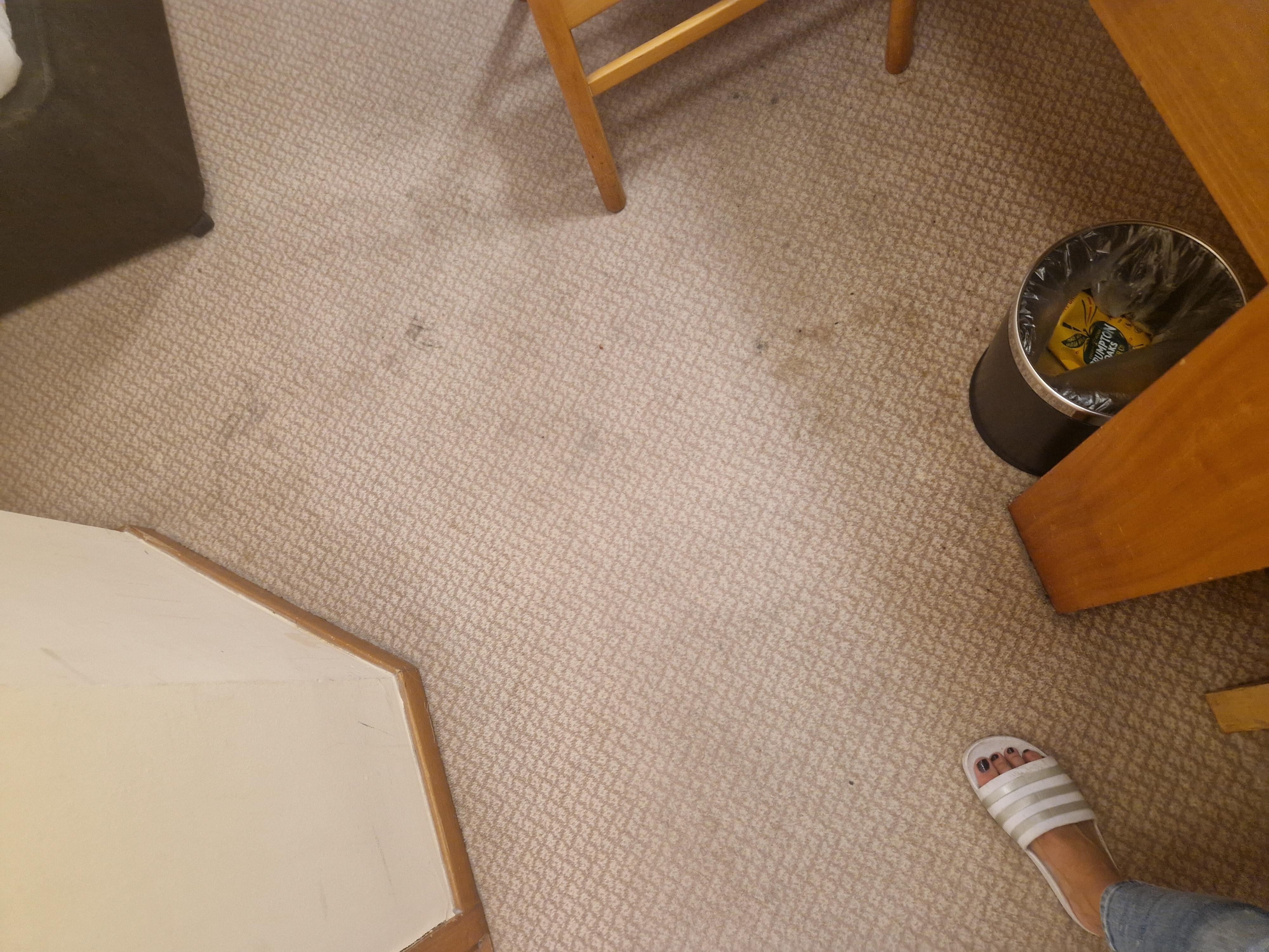 Damp stained carpet