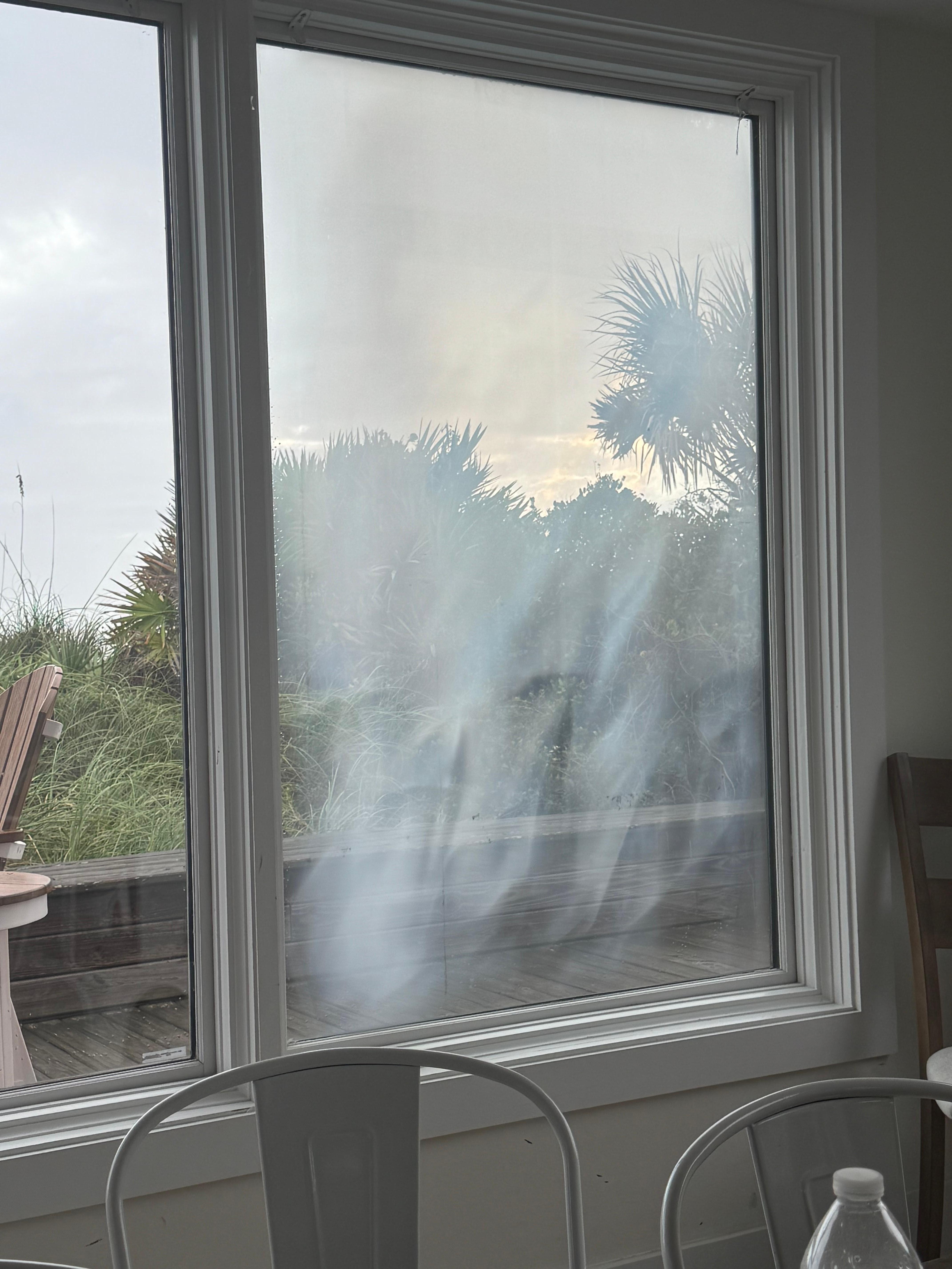 Broken seals make the beach hard to see