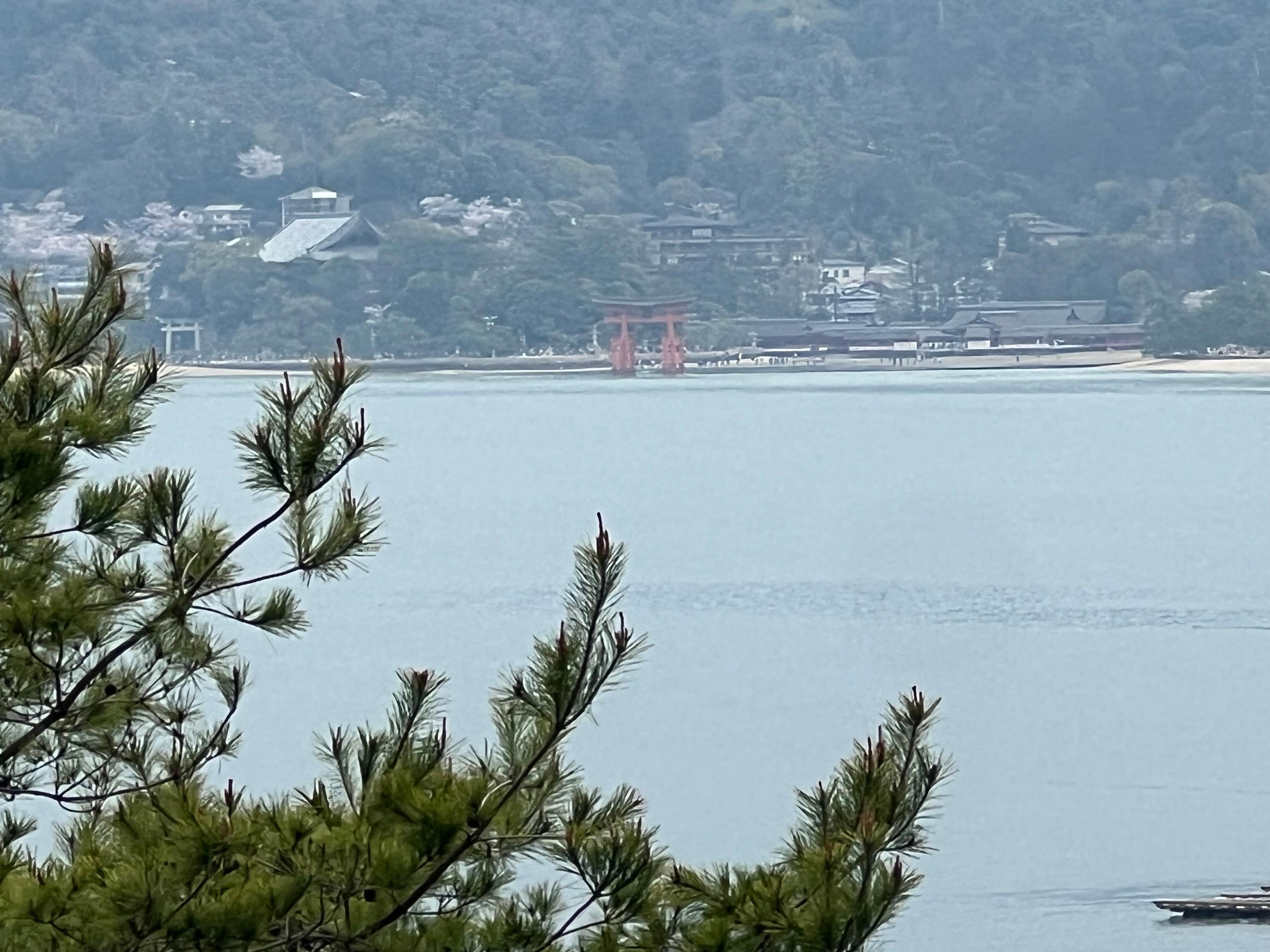 View from my room window 