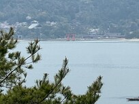 View from my room window