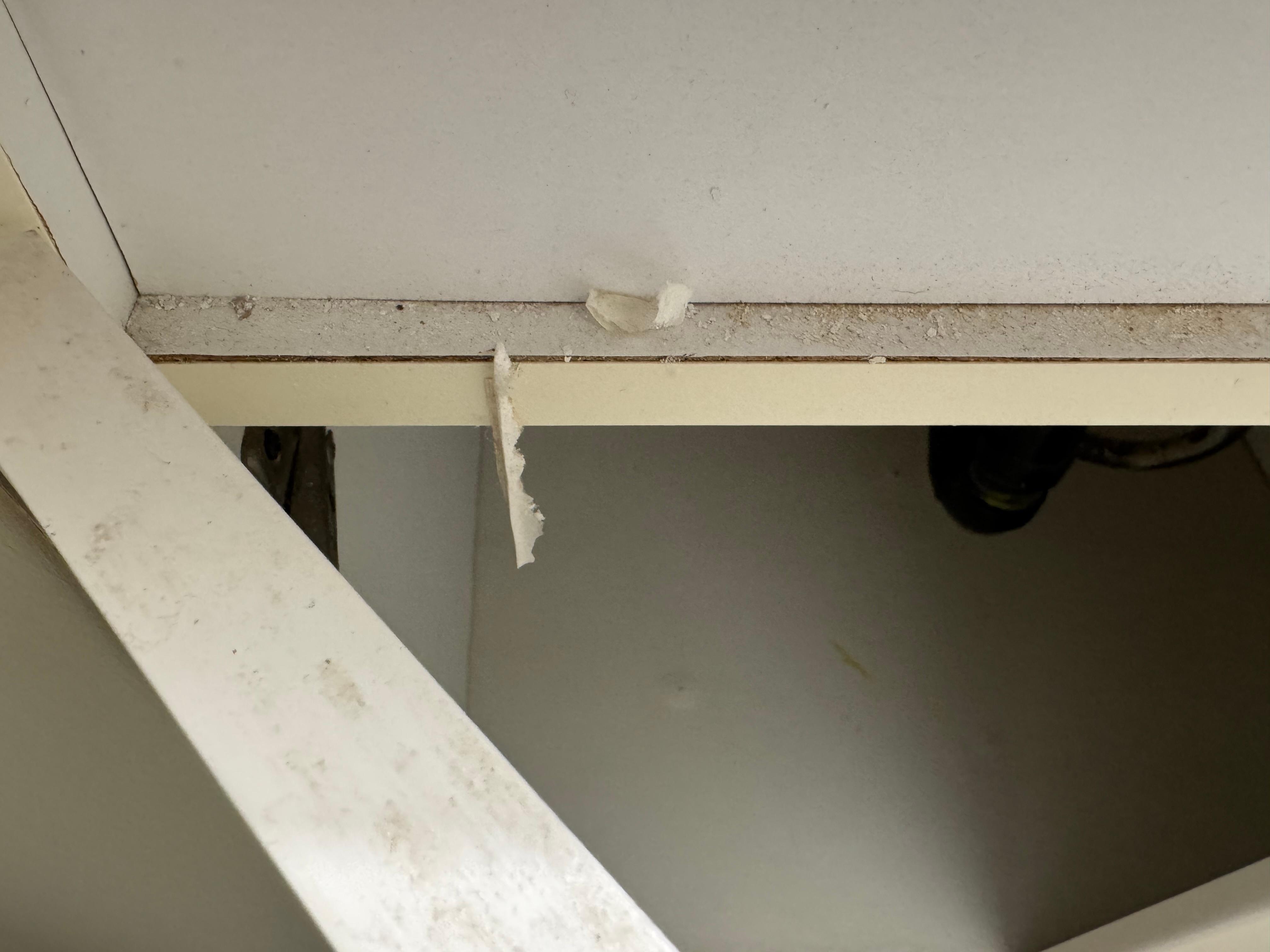 Toilet paper stuck to the door frame on the base