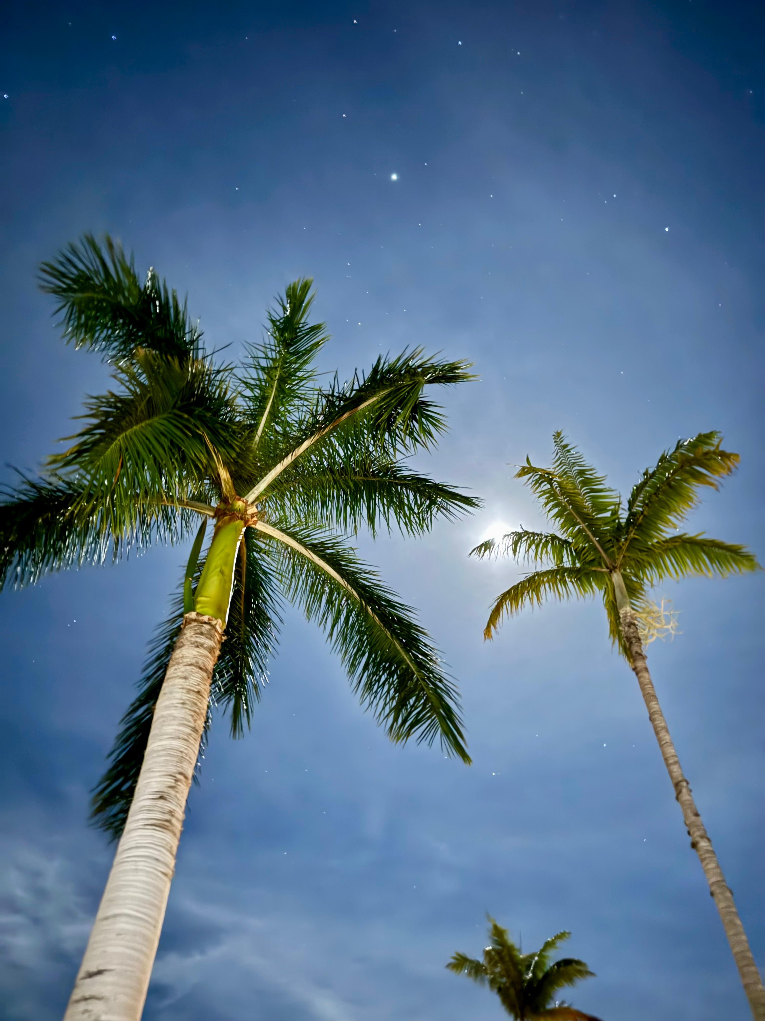Night sky on the lanai 
