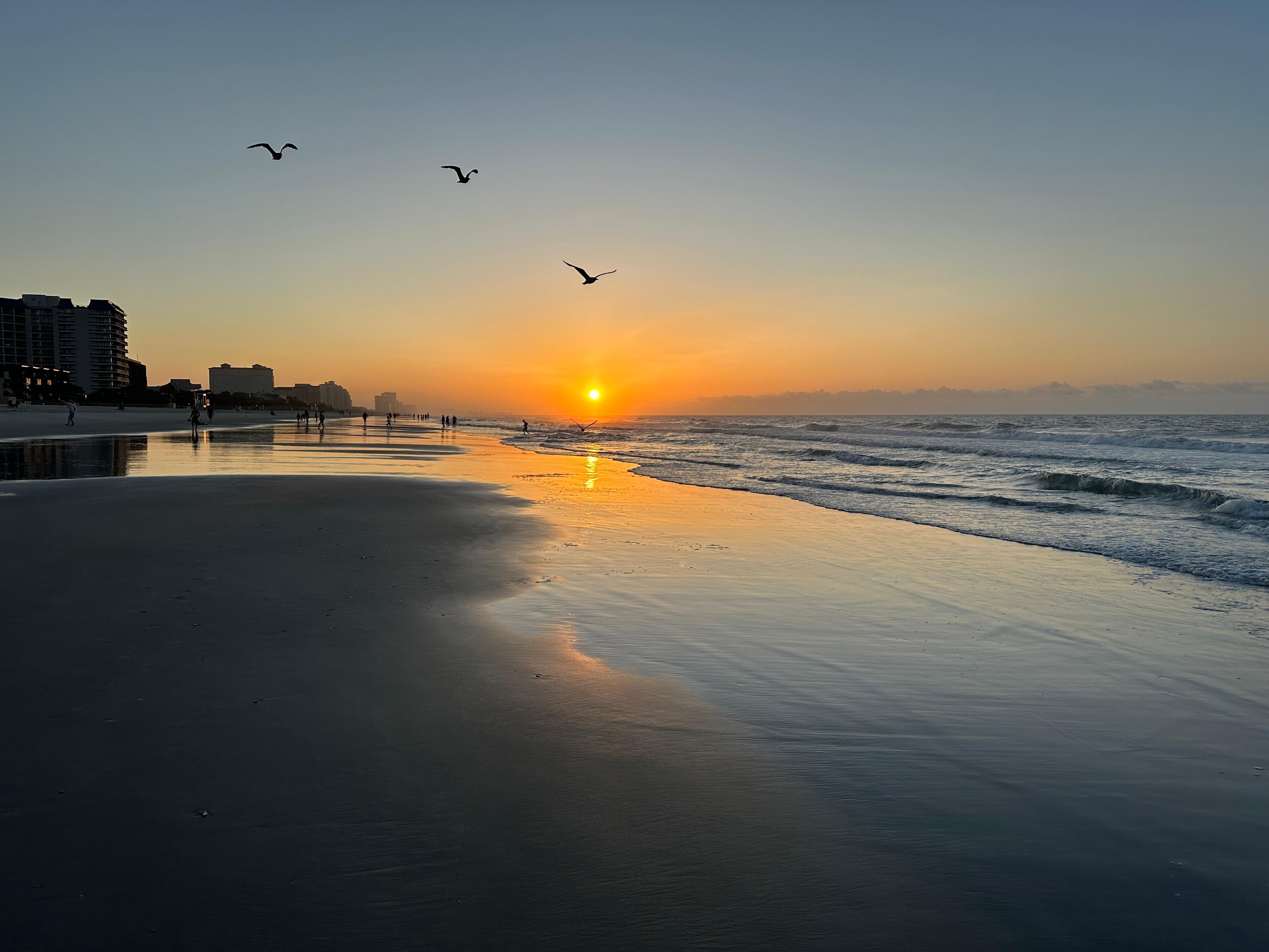 Actual north view from beach