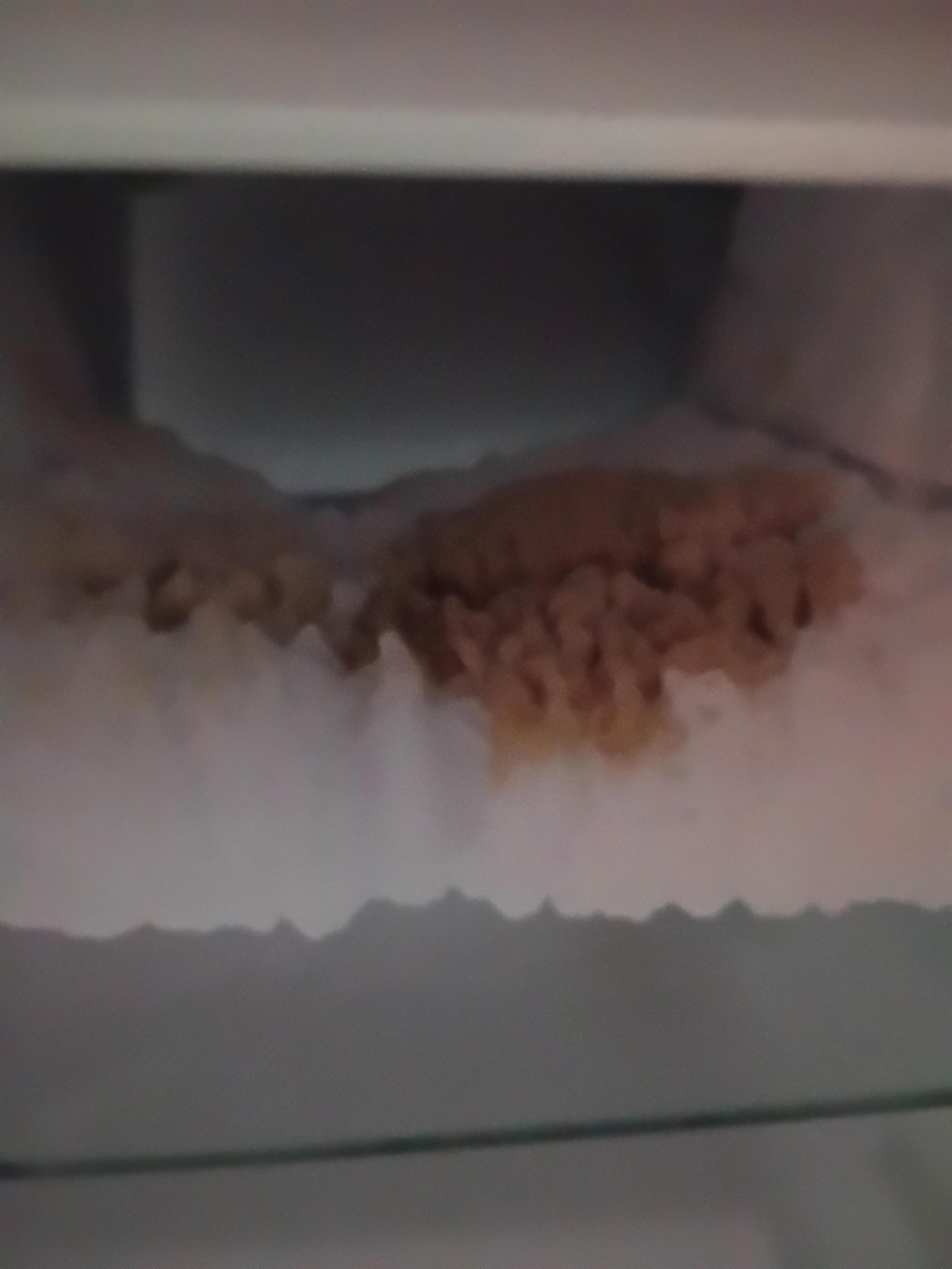 The explosion of something in the fridge 