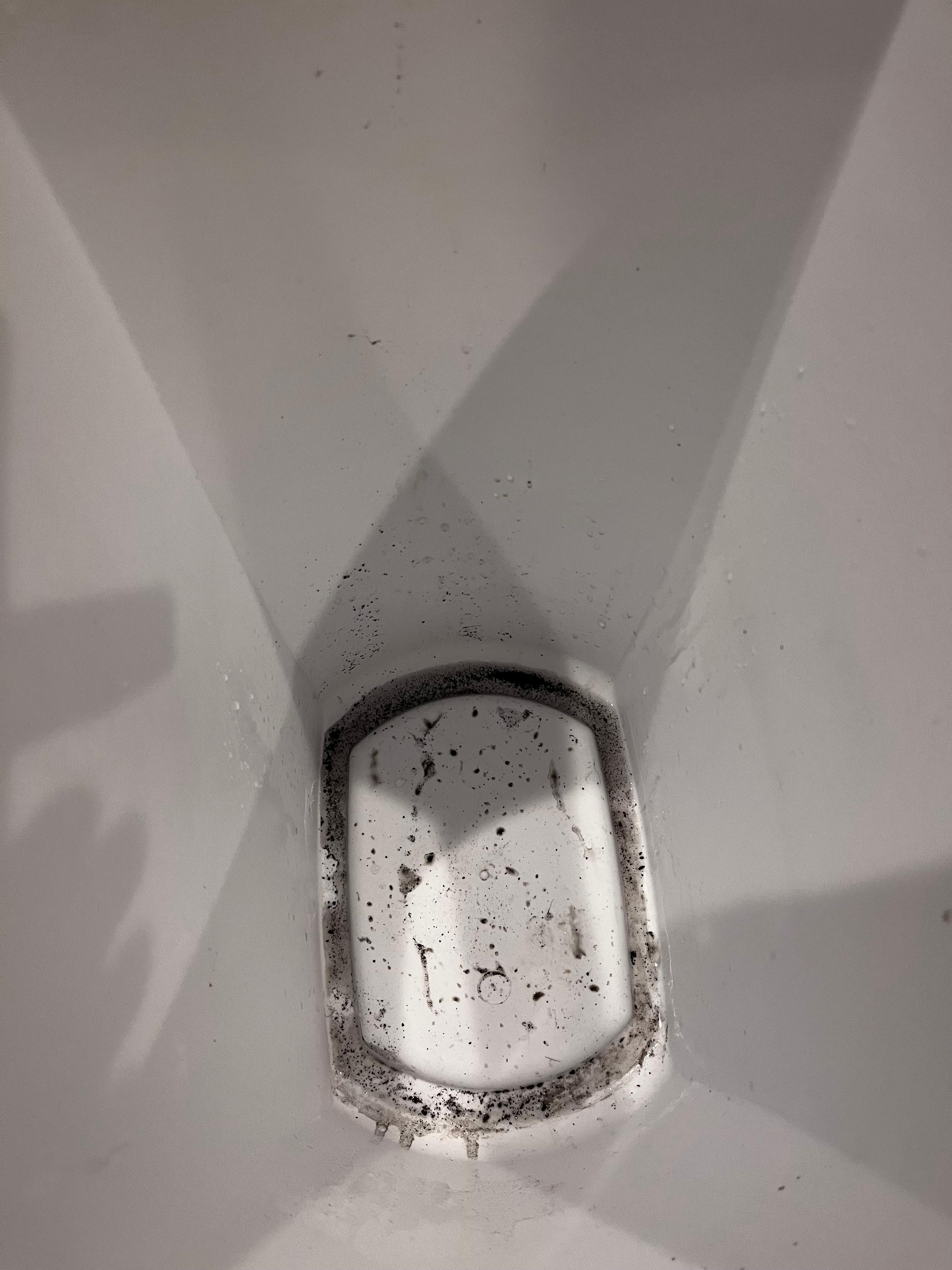 We saw this when we had to take out the trash