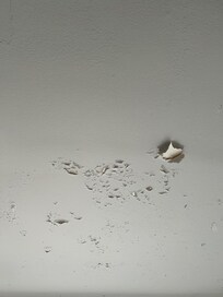 Bathroom ceiling