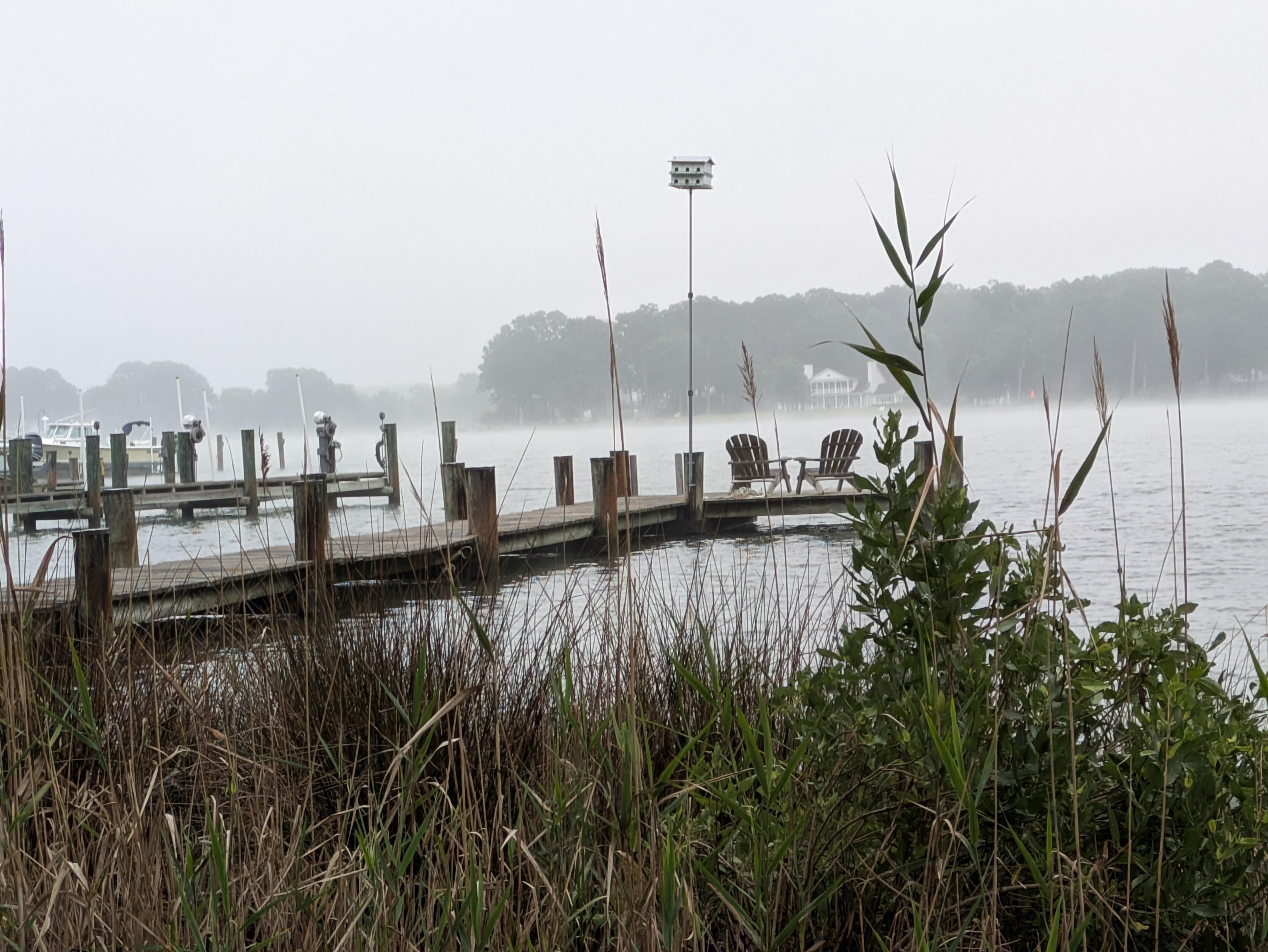 Early morning mist from the back yard looking at the dock and river