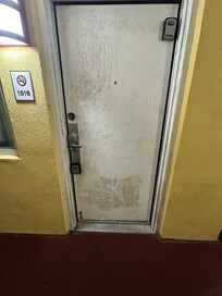 Black mold on front door. It would turn your hand black if you touched it.