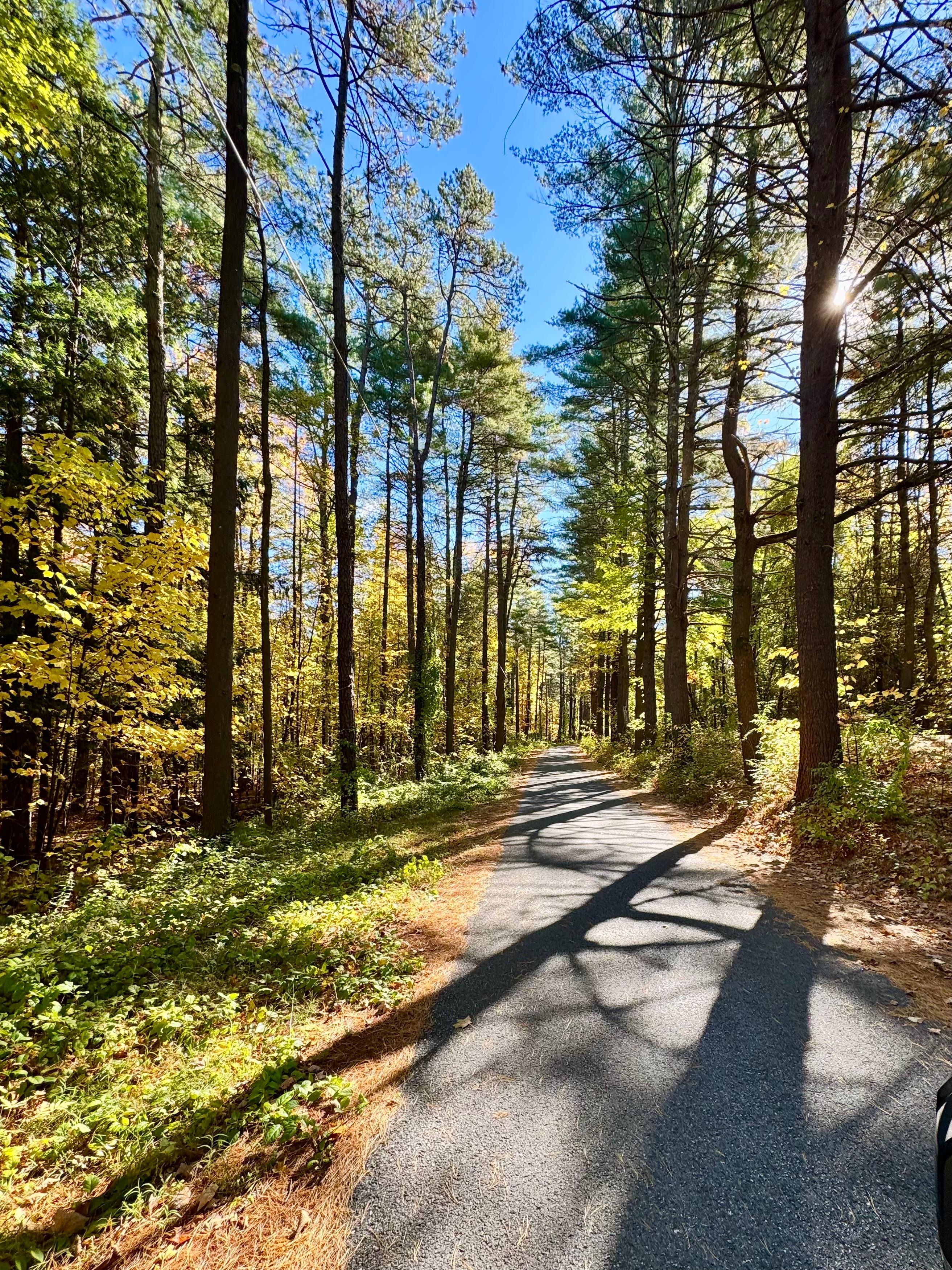 Short, pretty drive from highway to cabin. 